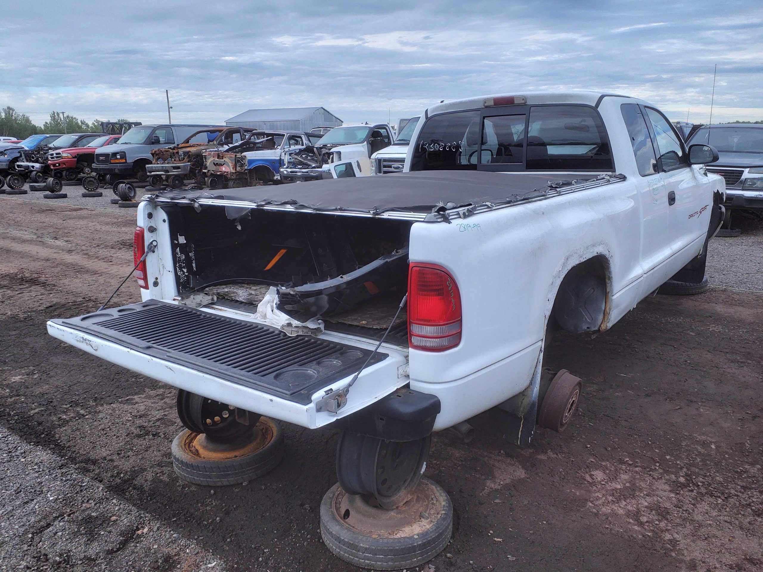 DODGE DAKOTA 1999