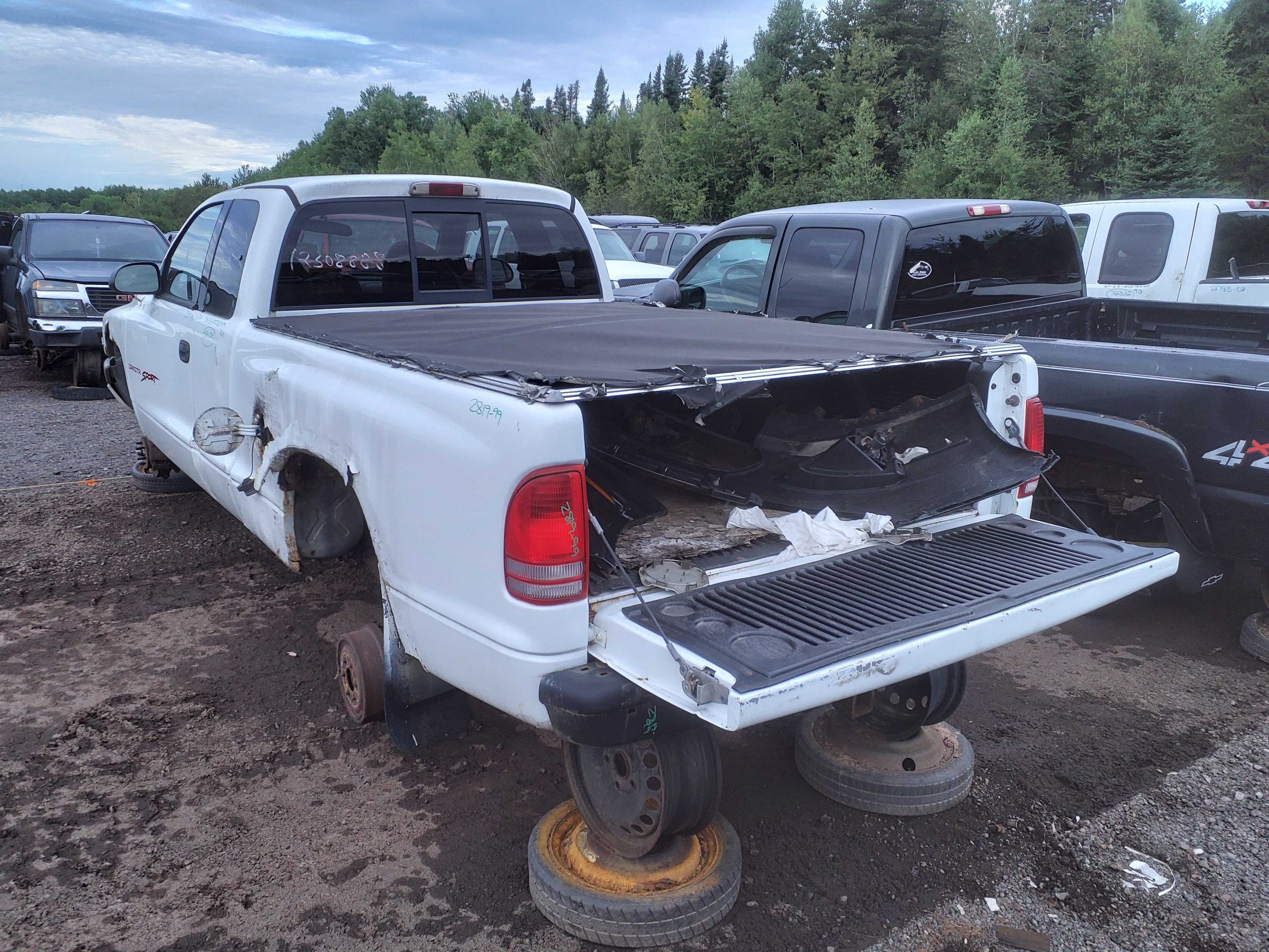 DODGE DAKOTA 1999