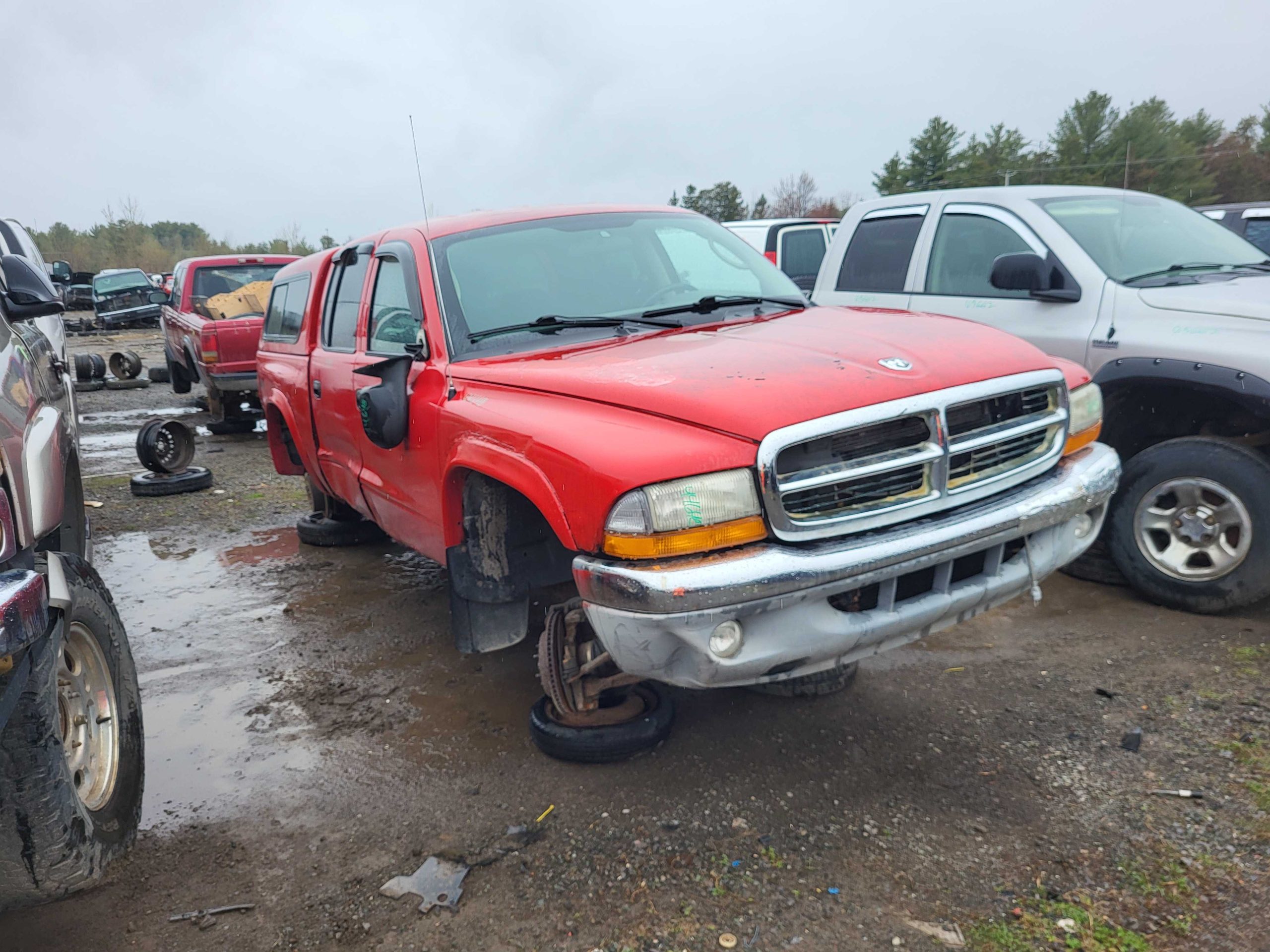DODGE DAKOTA 2004