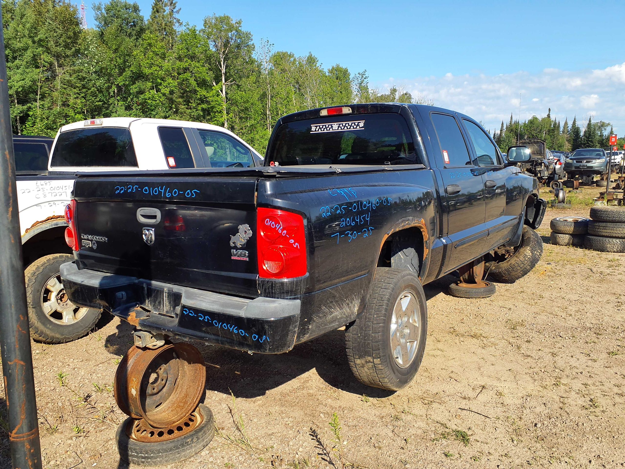 DODGE DAKOTA 2005