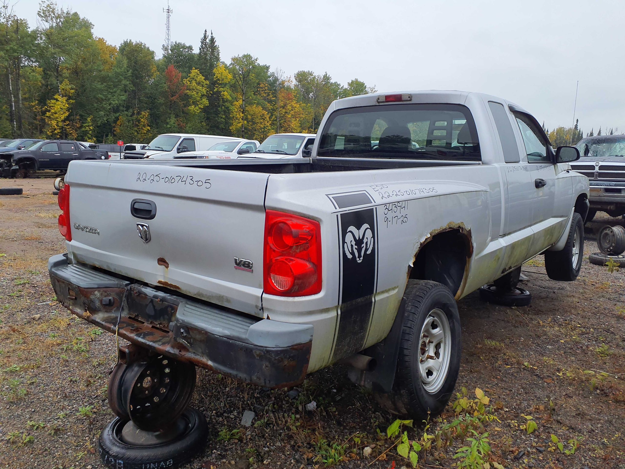 DODGE DAKOTA 2005