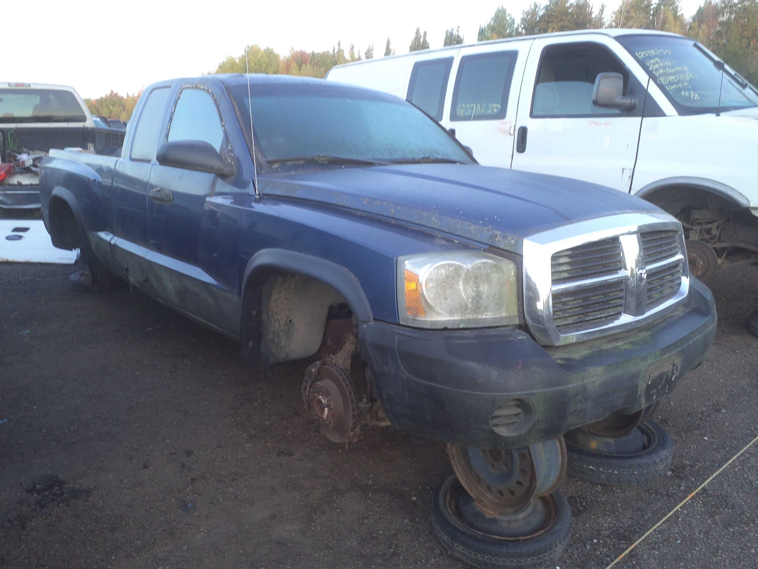 DODGE DAKOTA 2005