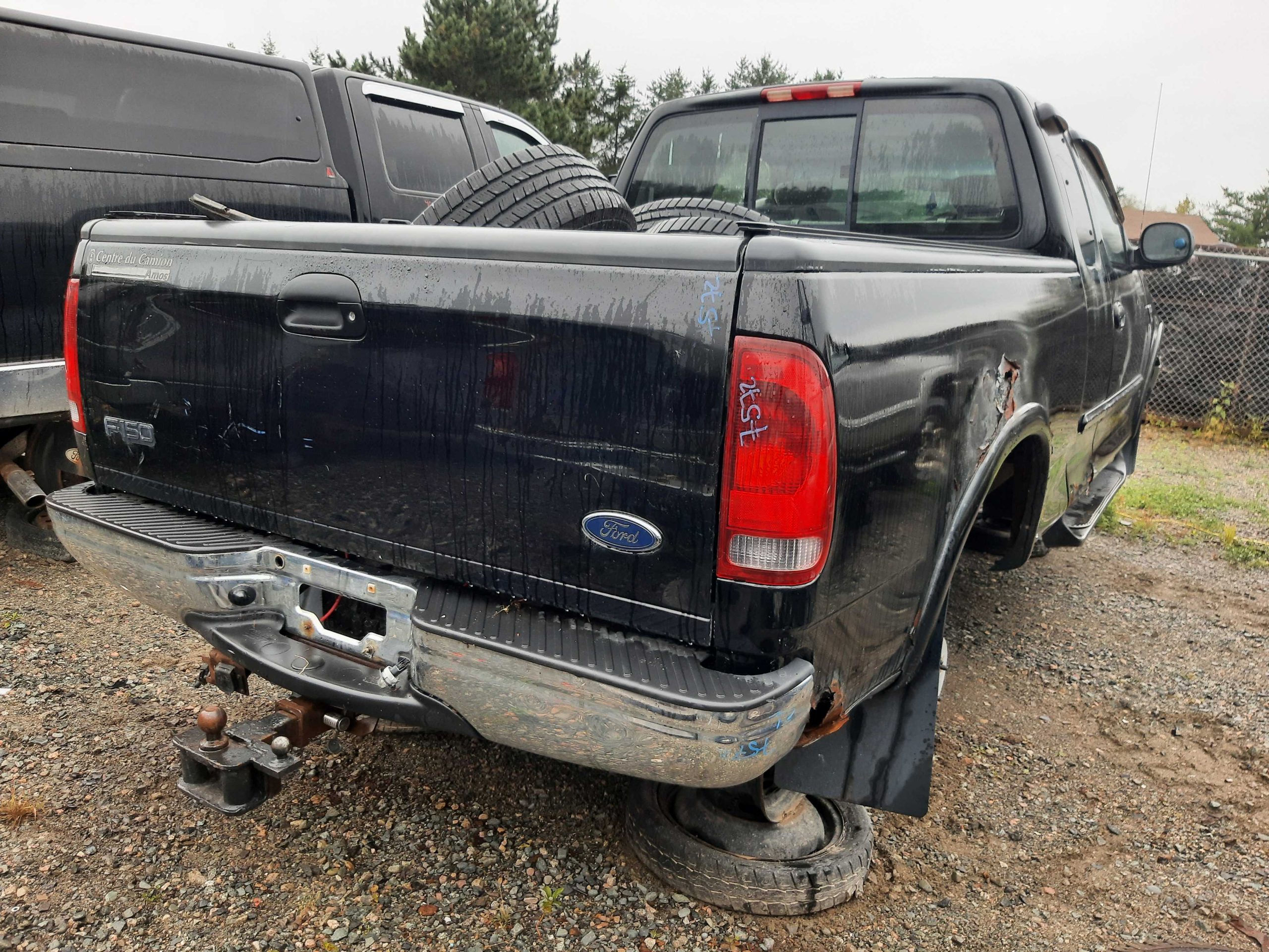 FORD F-150 2001