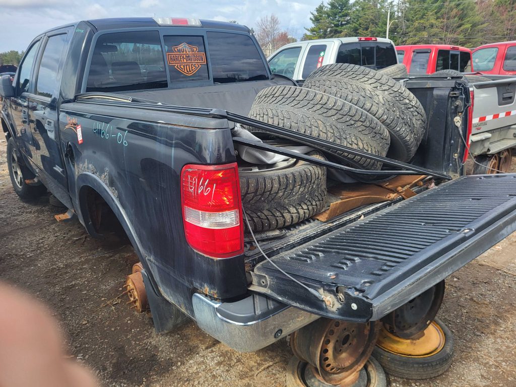FORD F-150 2006