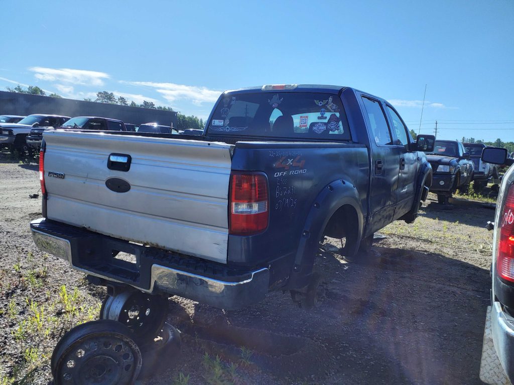FORD F-150 2006