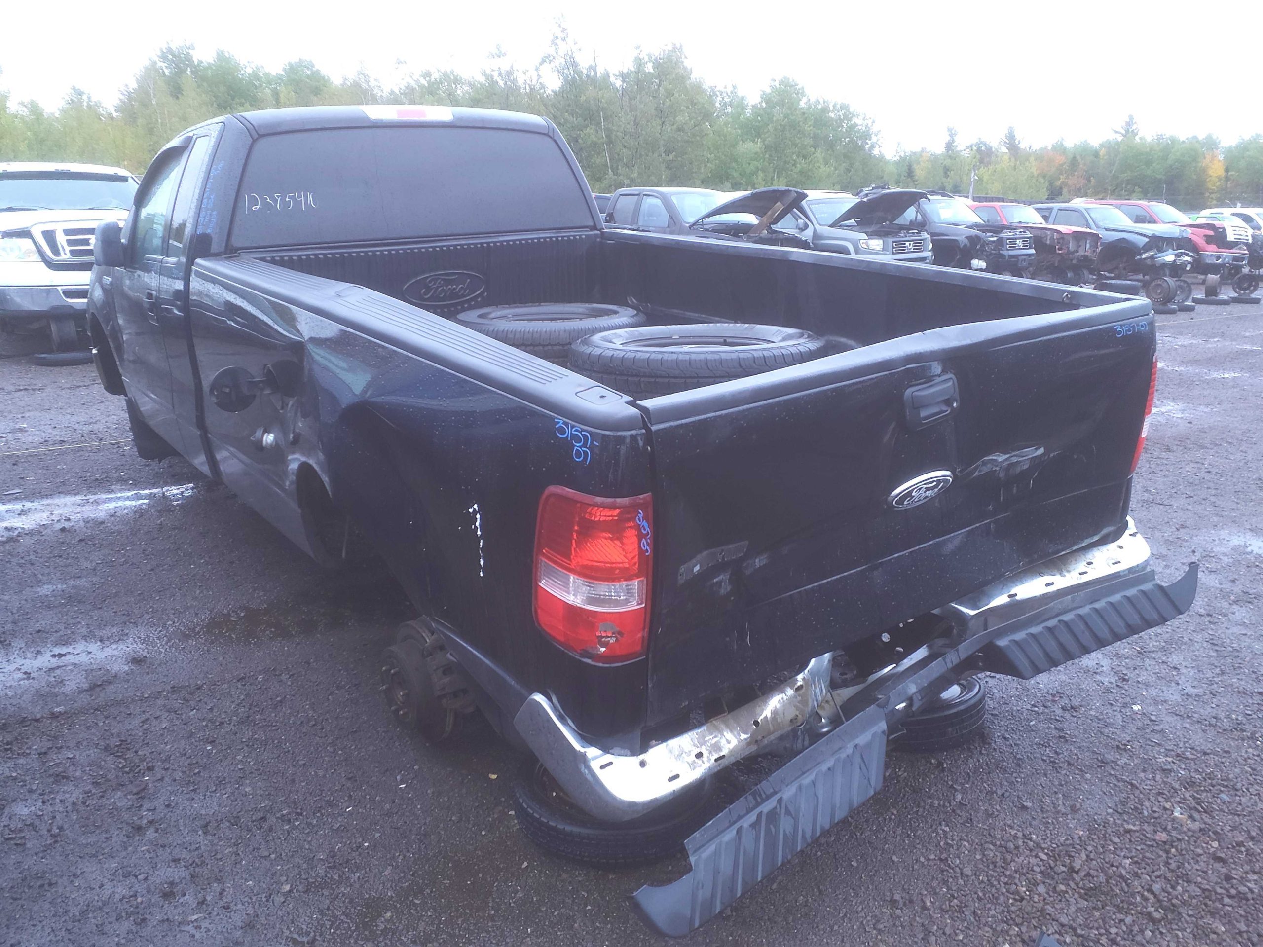 FORD F-150 2007