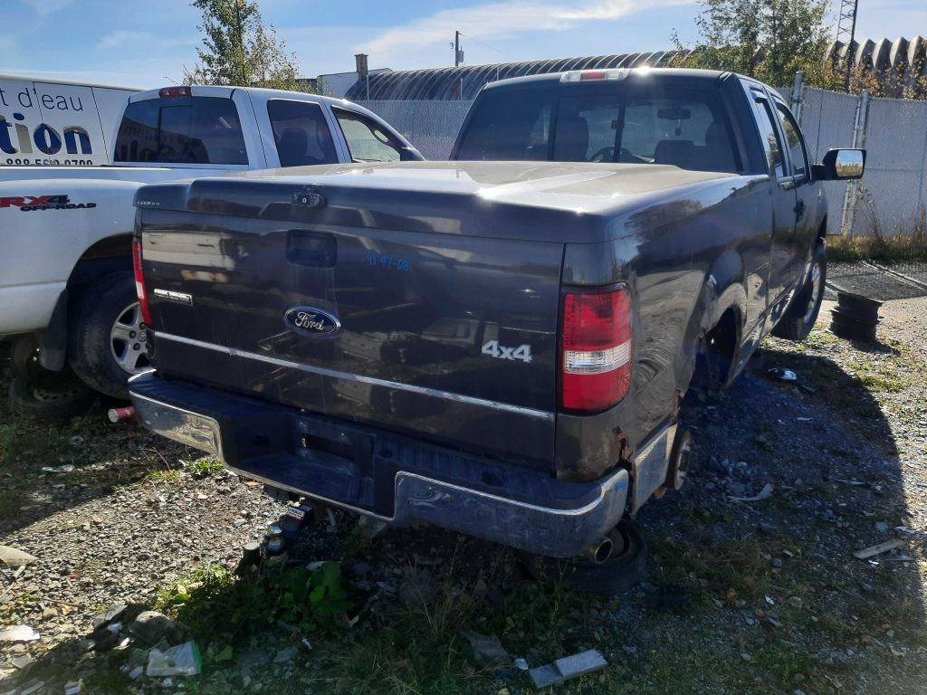 FORD F-150 2008