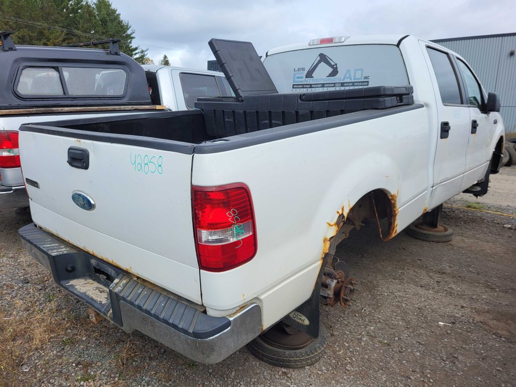 FORD F-150 2008