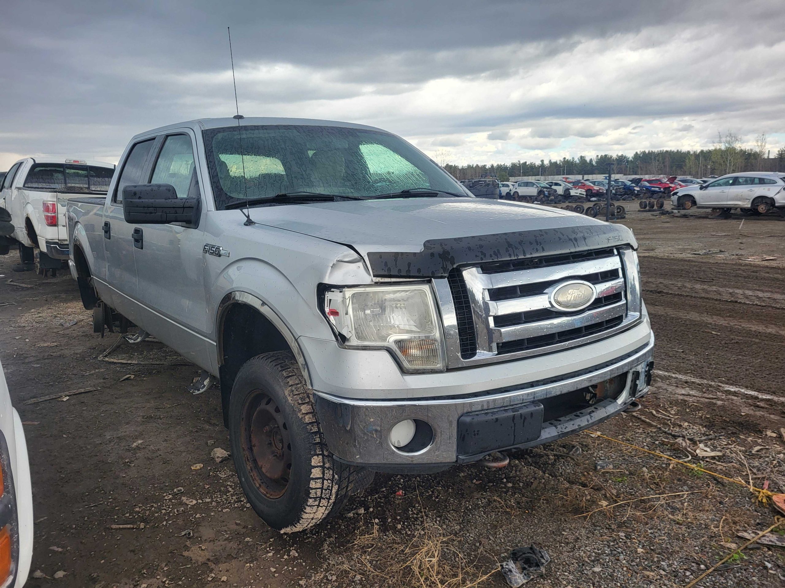 FORD F-150 2009