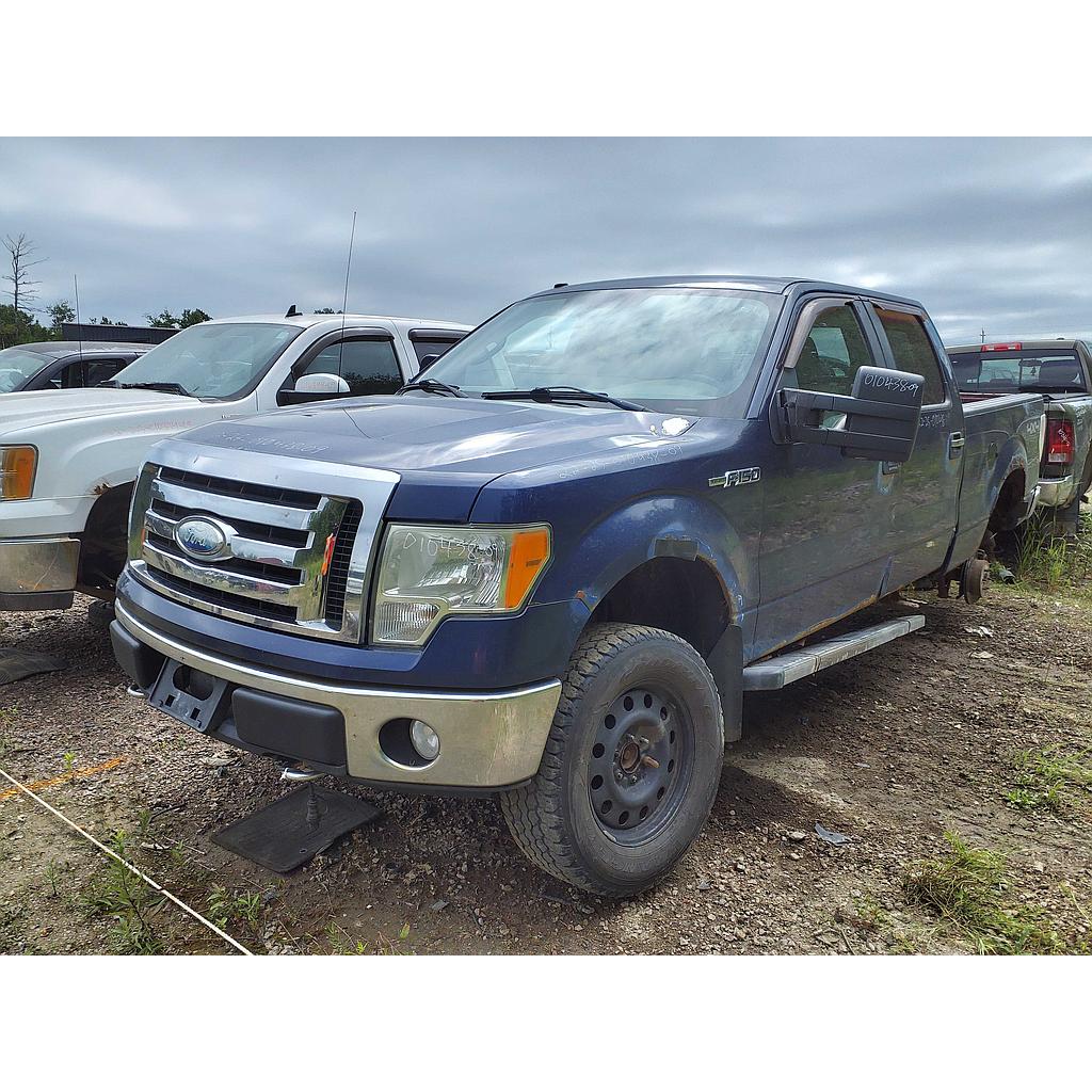 FORD F-150 2009