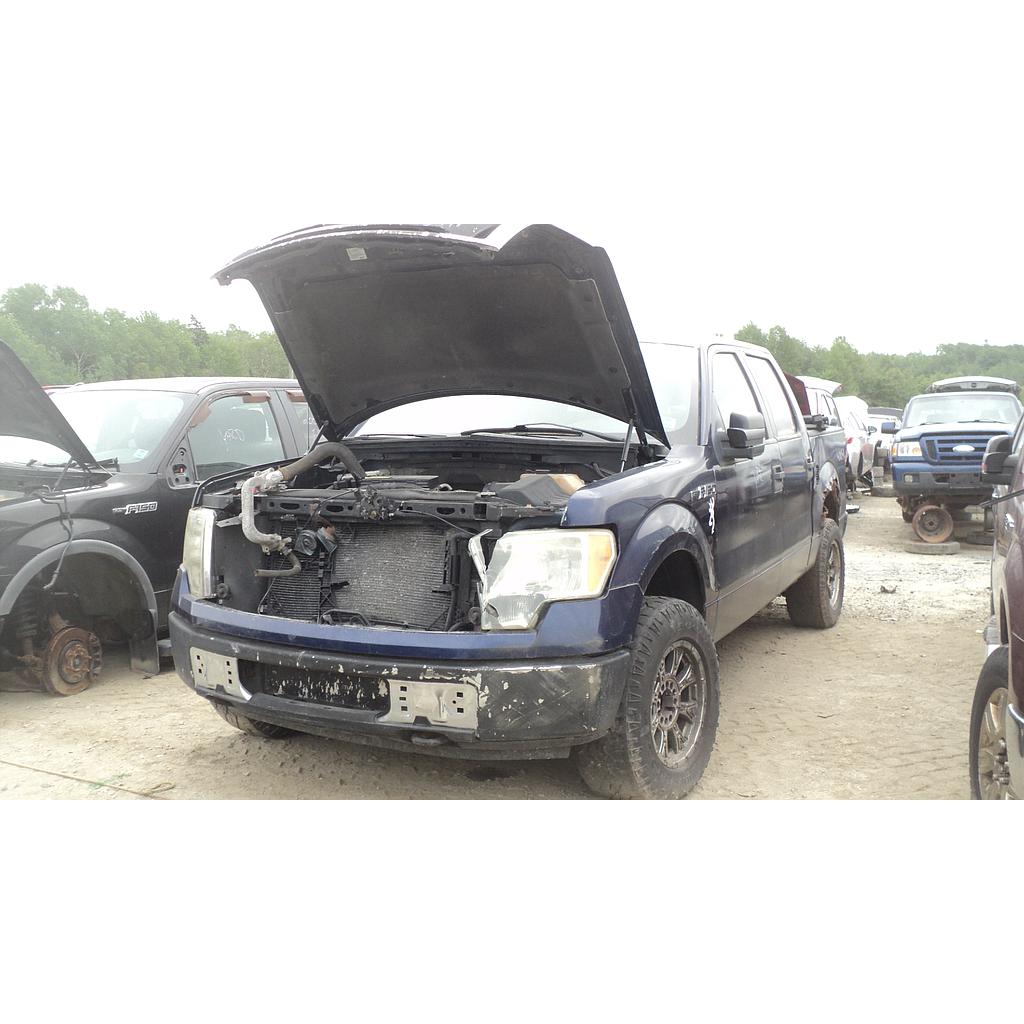 FORD F-150 2009