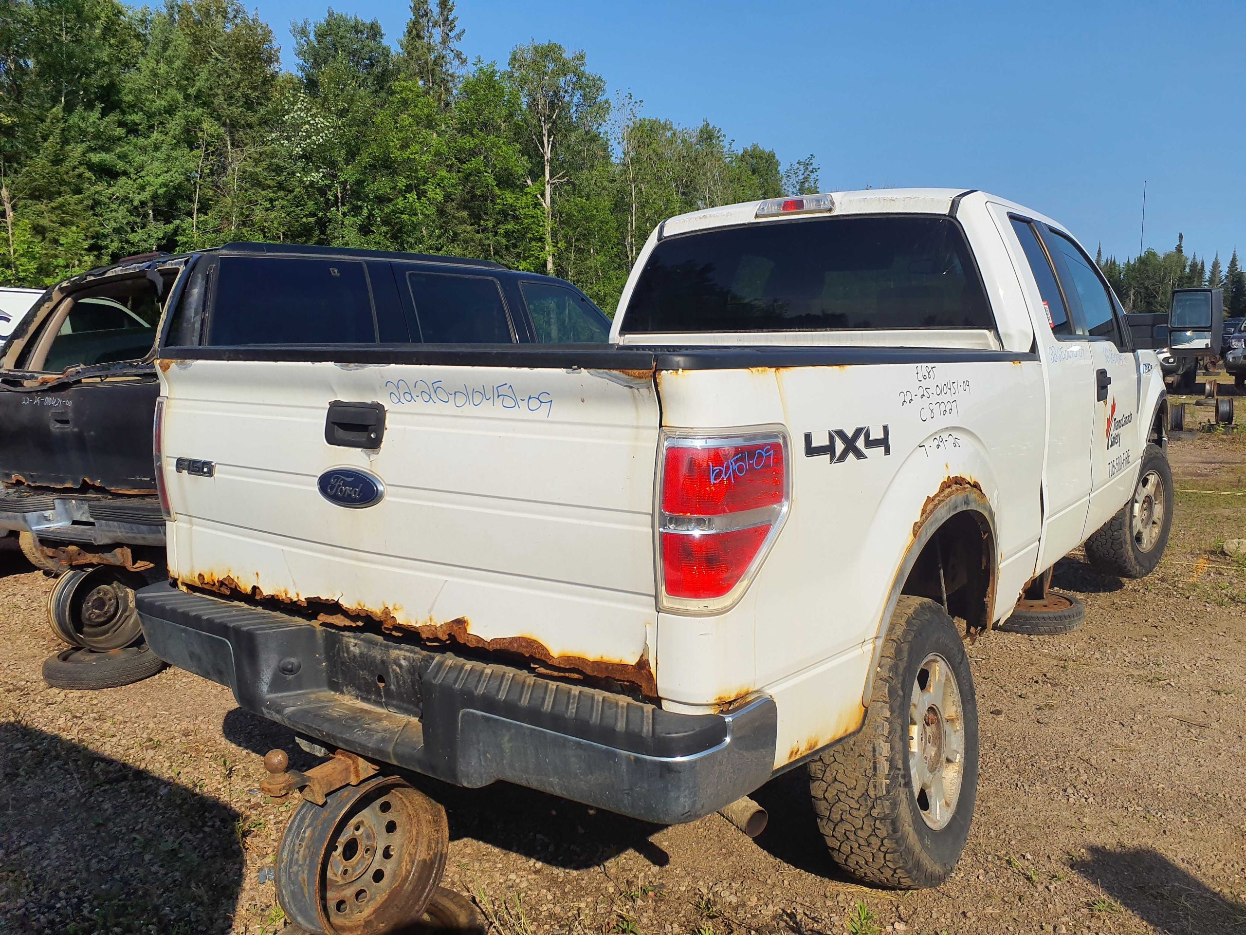 FORD F-150 2009