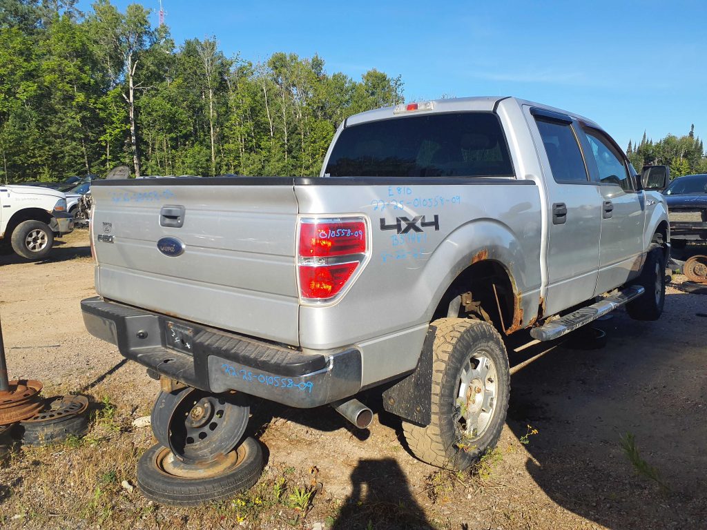 FORD F-150 2009