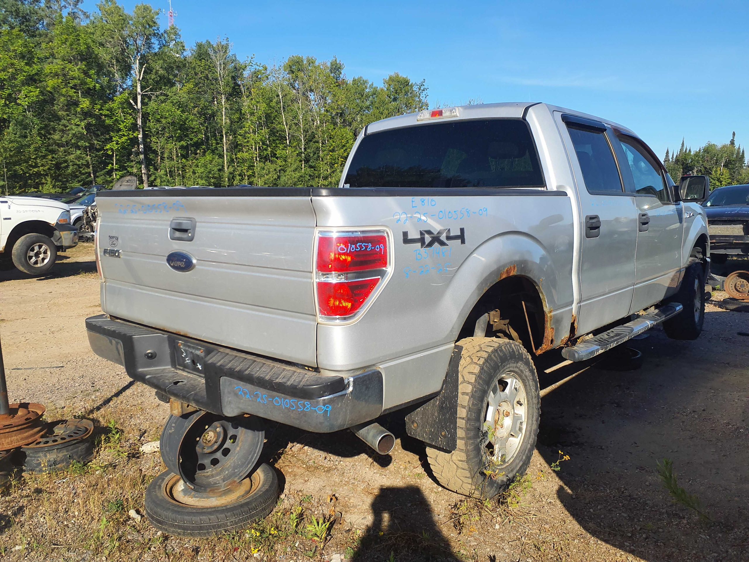 FORD F-150 2009