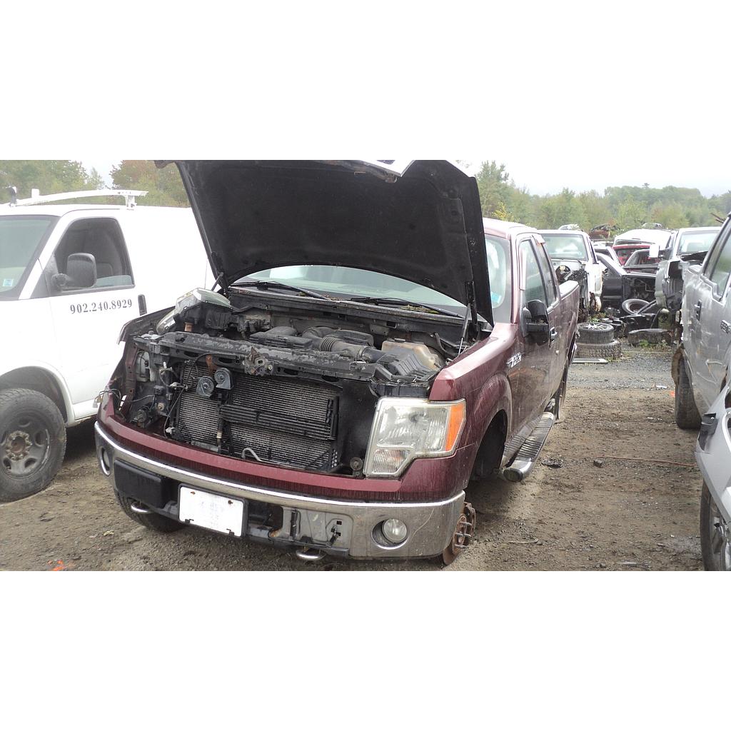 FORD F-150 2009