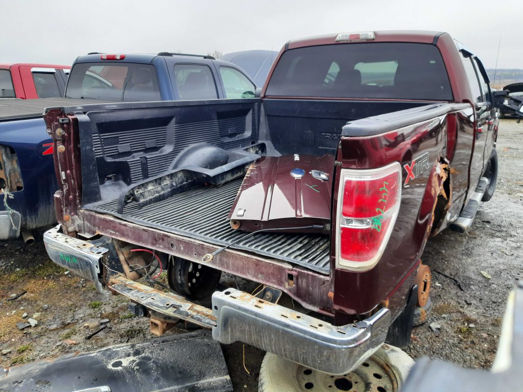FORD F-150 2010