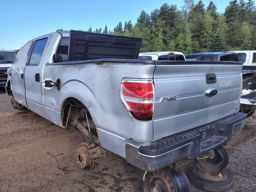 FORD F-150 2010