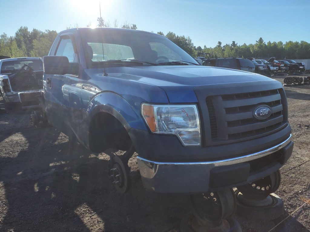 FORD F-150 2010