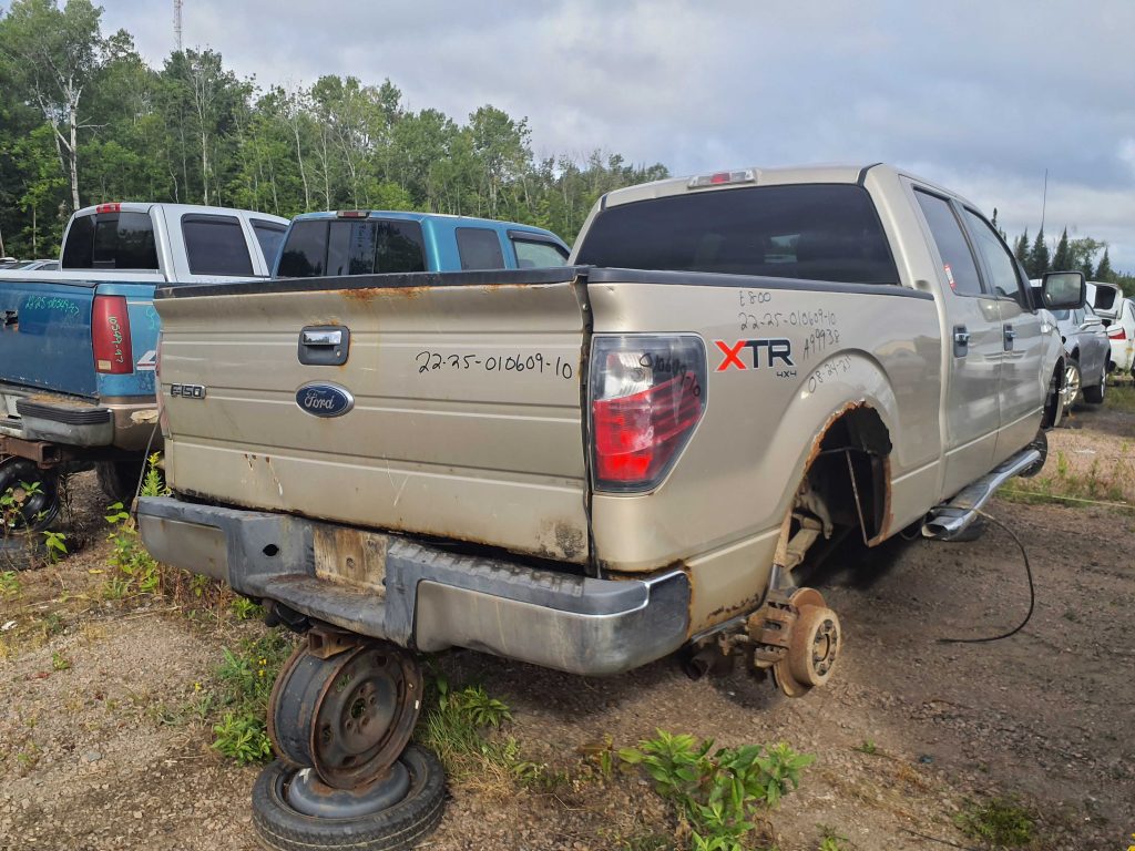 FORD F-150 2010