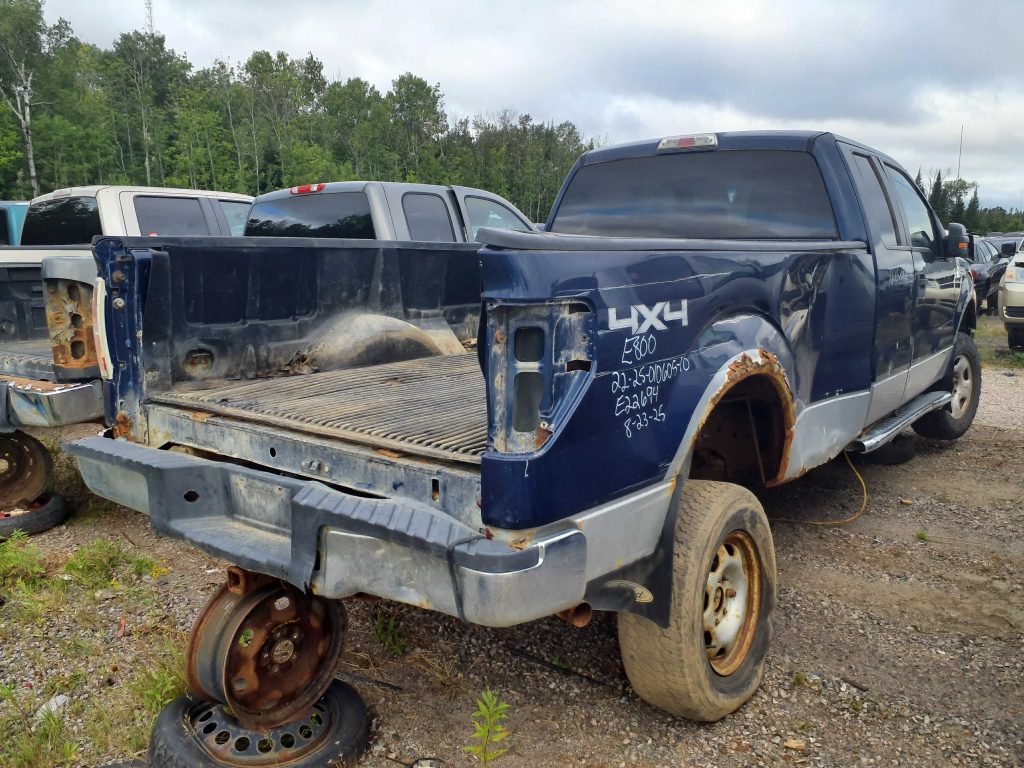 FORD F-150 2010