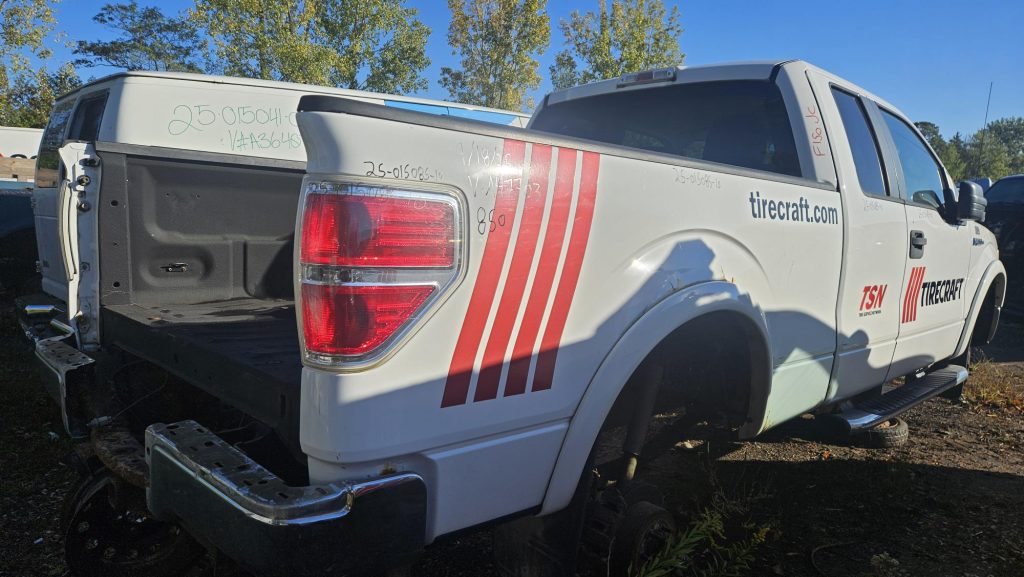 FORD F-150 2010