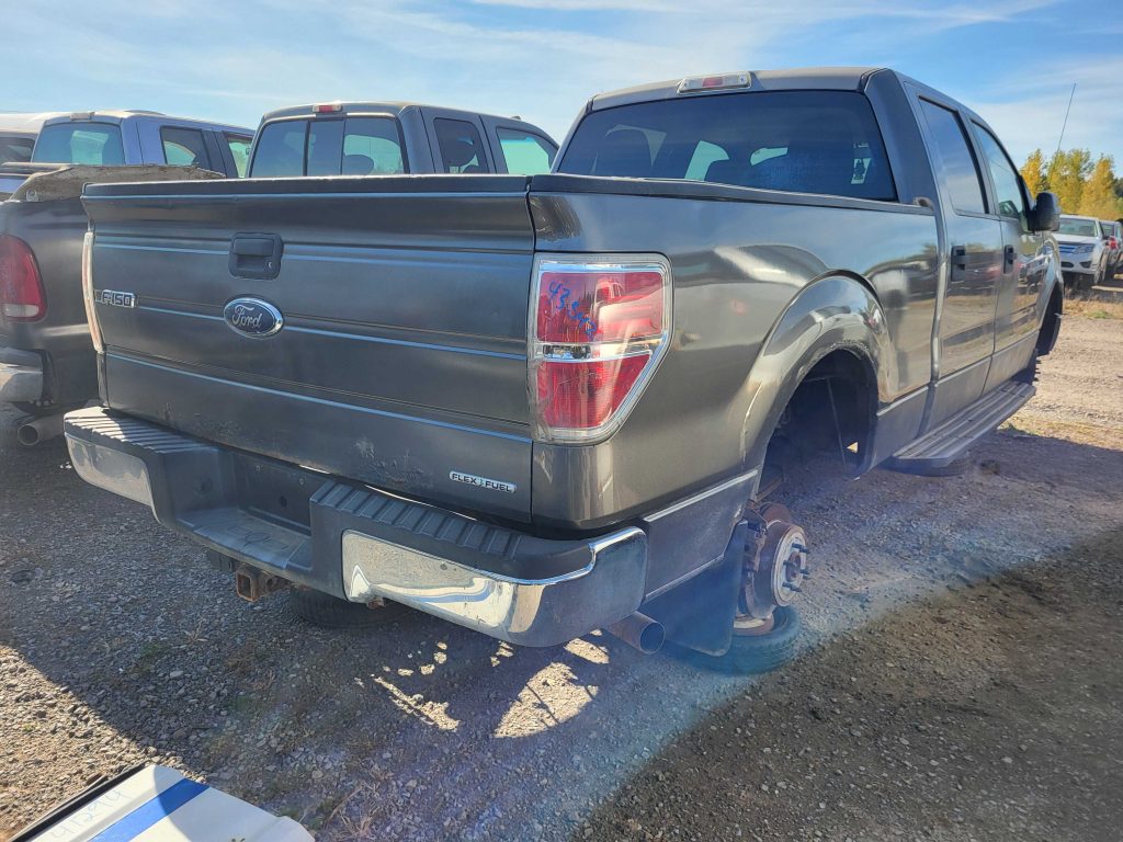 FORD F-150 2010