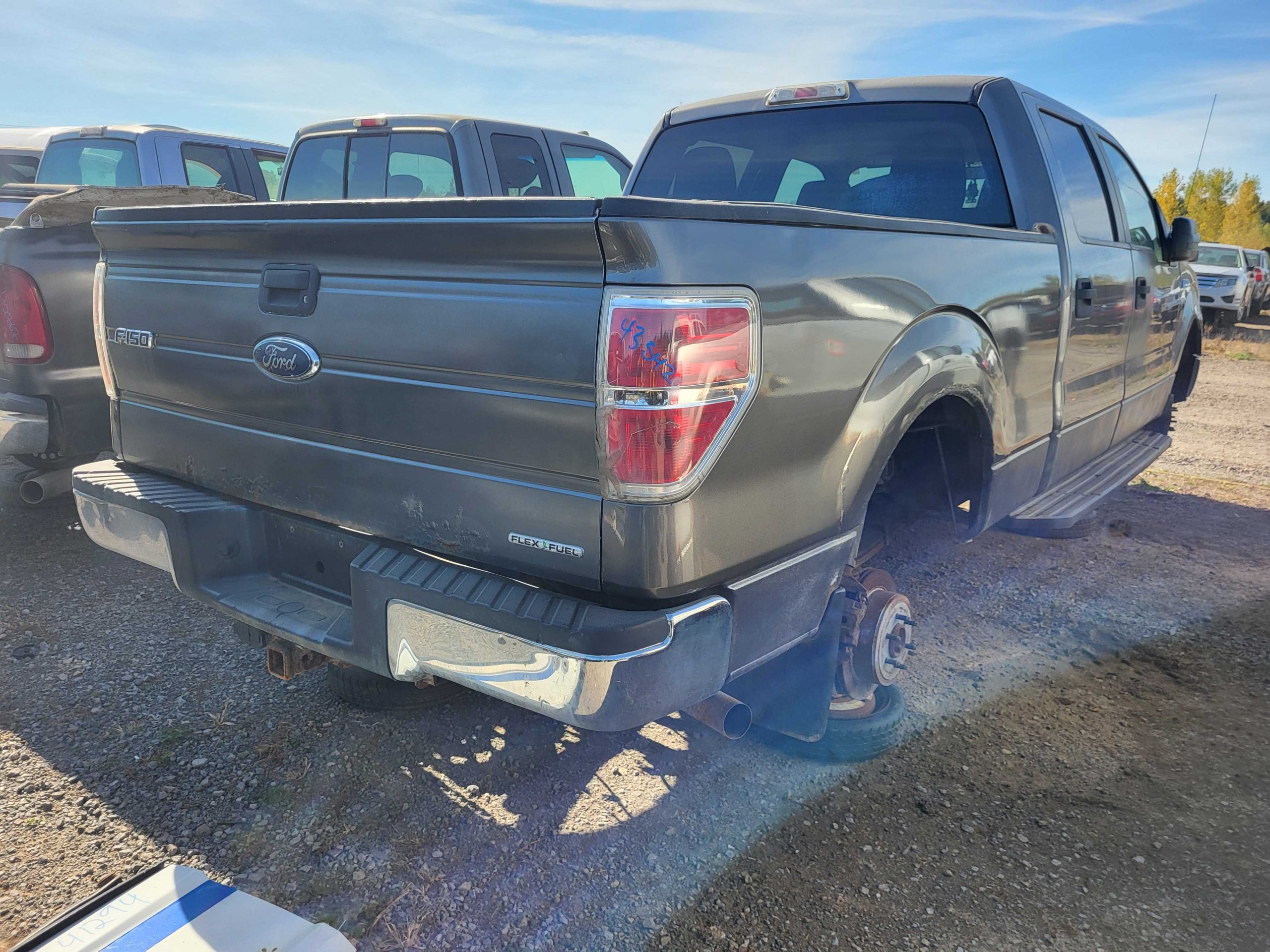 FORD F-150 2010