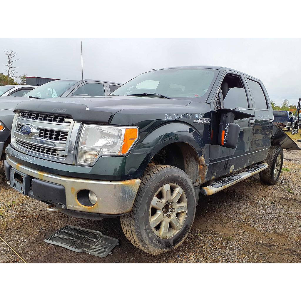 FORD F-150 2013