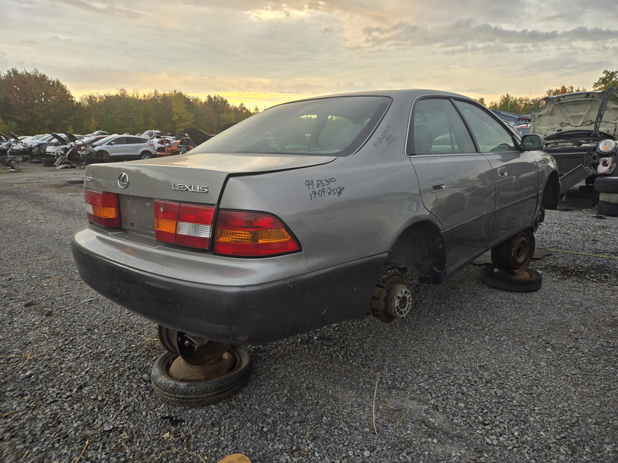 LEXUS ES 300 1999