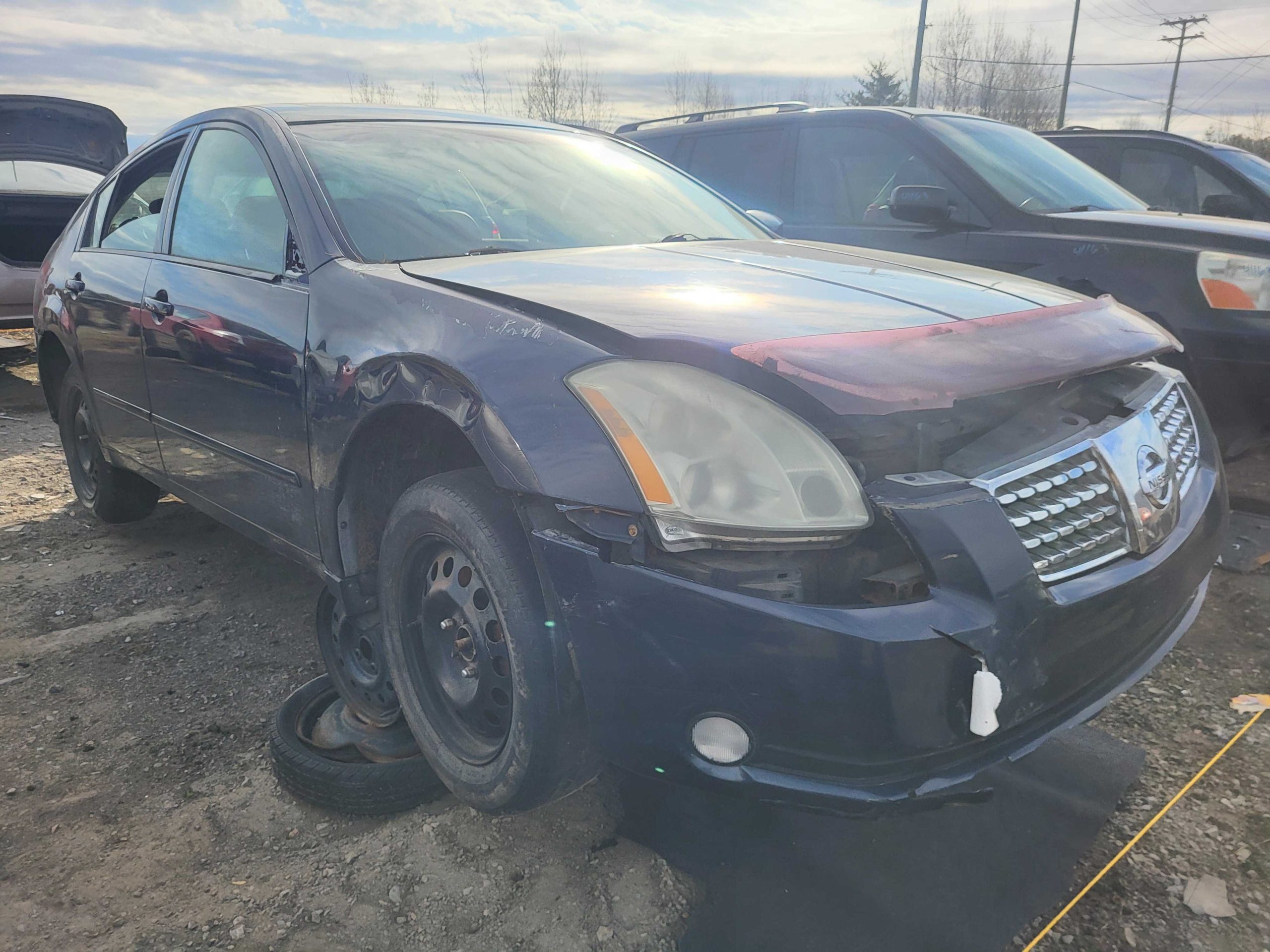 NISSAN MAXIMA 2004