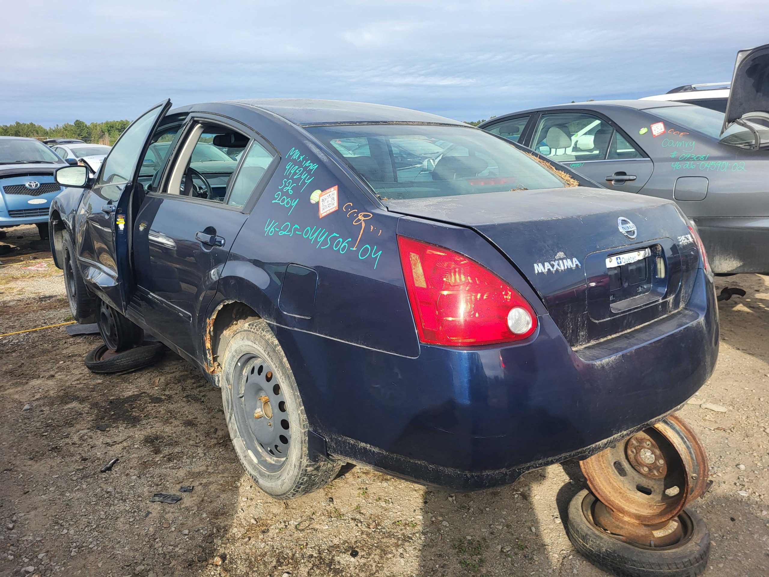 NISSAN MAXIMA 2004