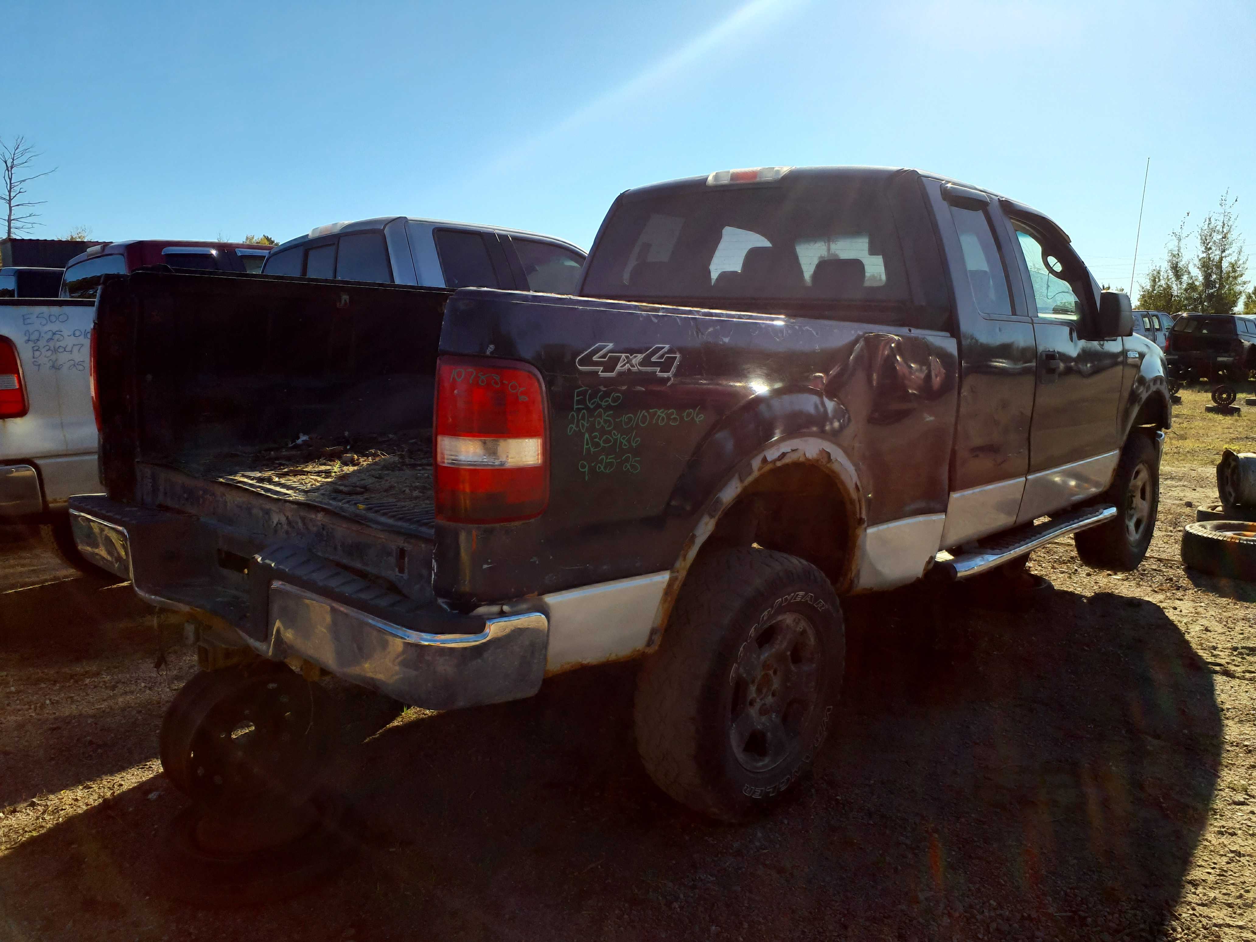 FORD F-150 2006