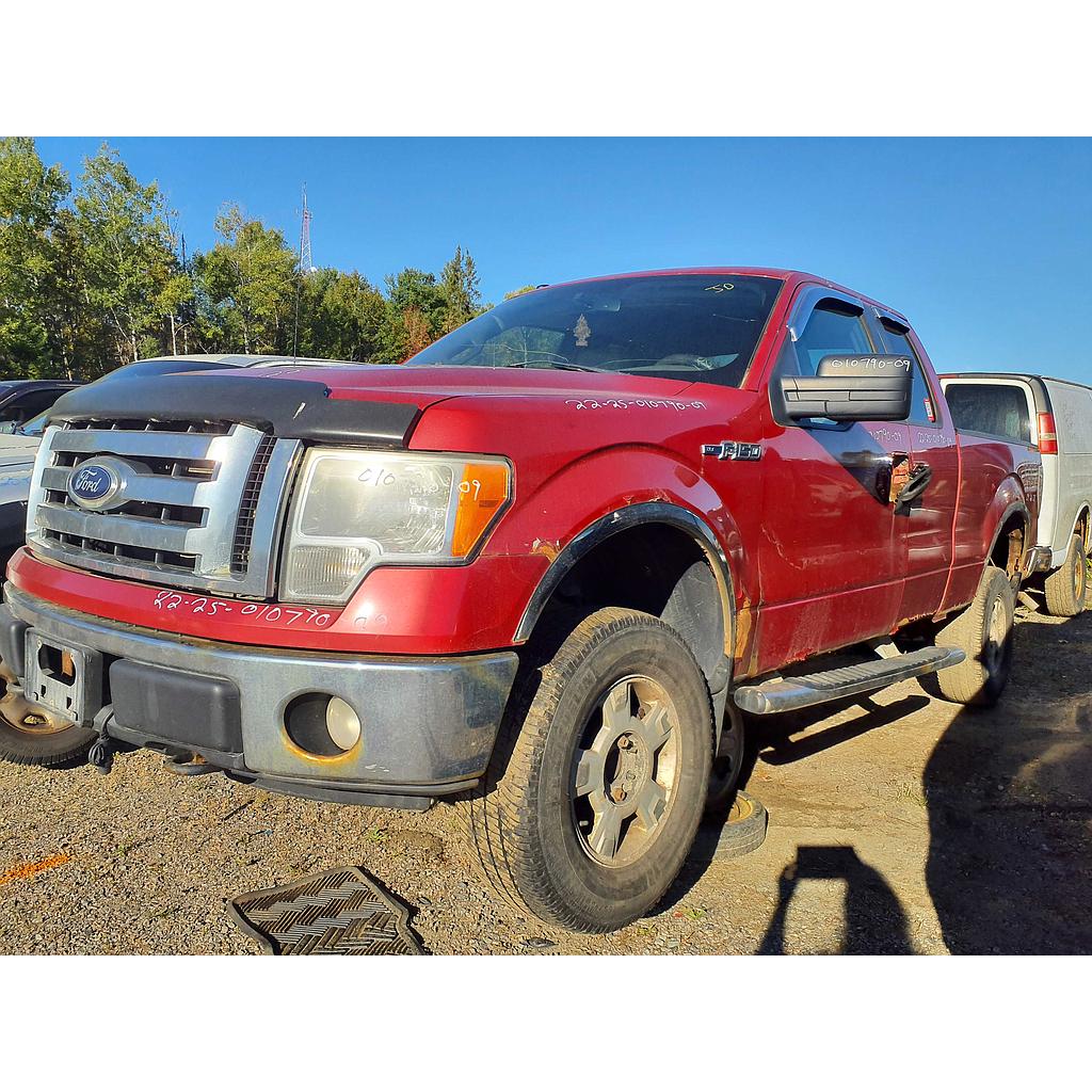 FORD F-150 2009