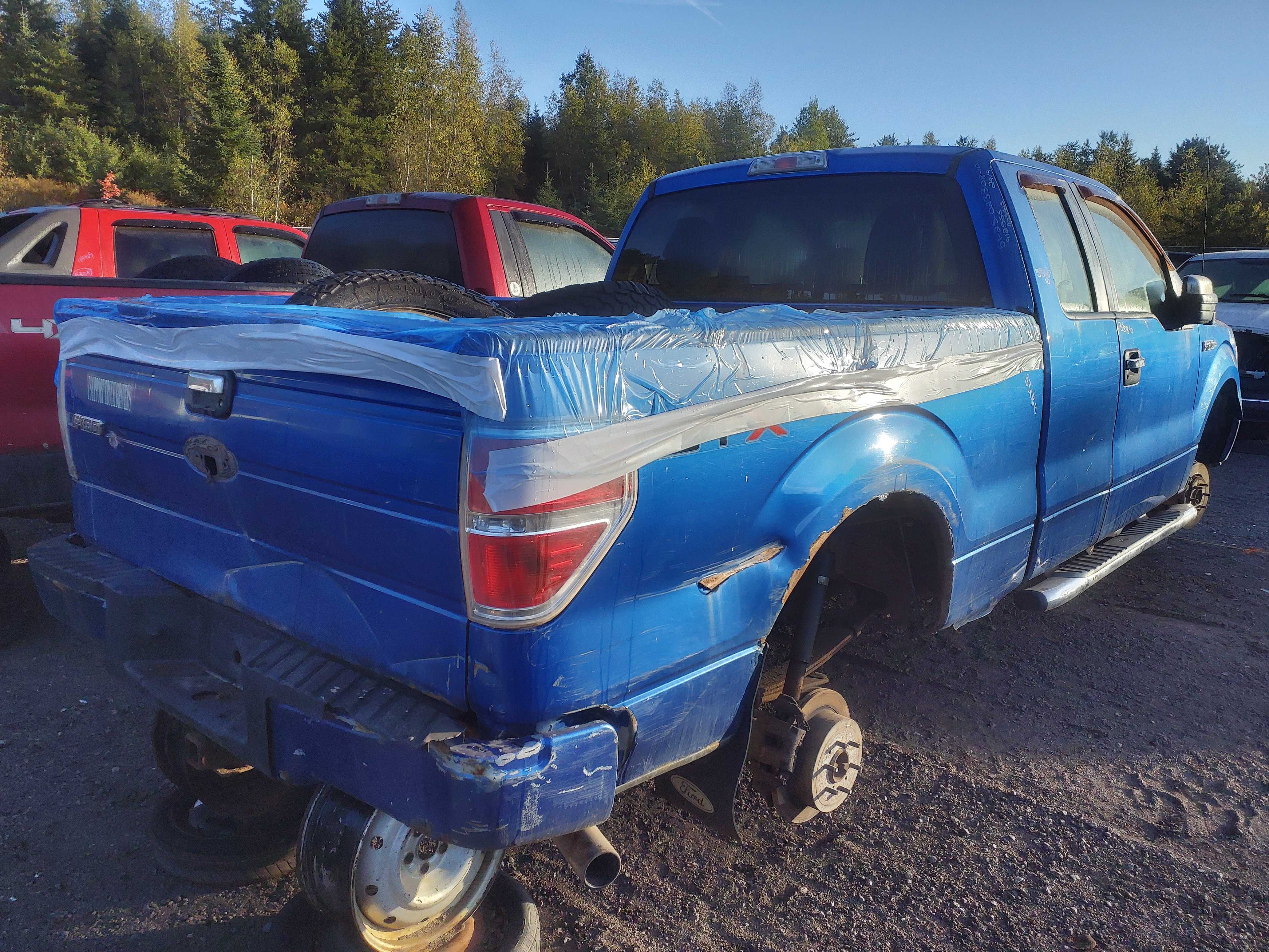 FORD F-150 2010