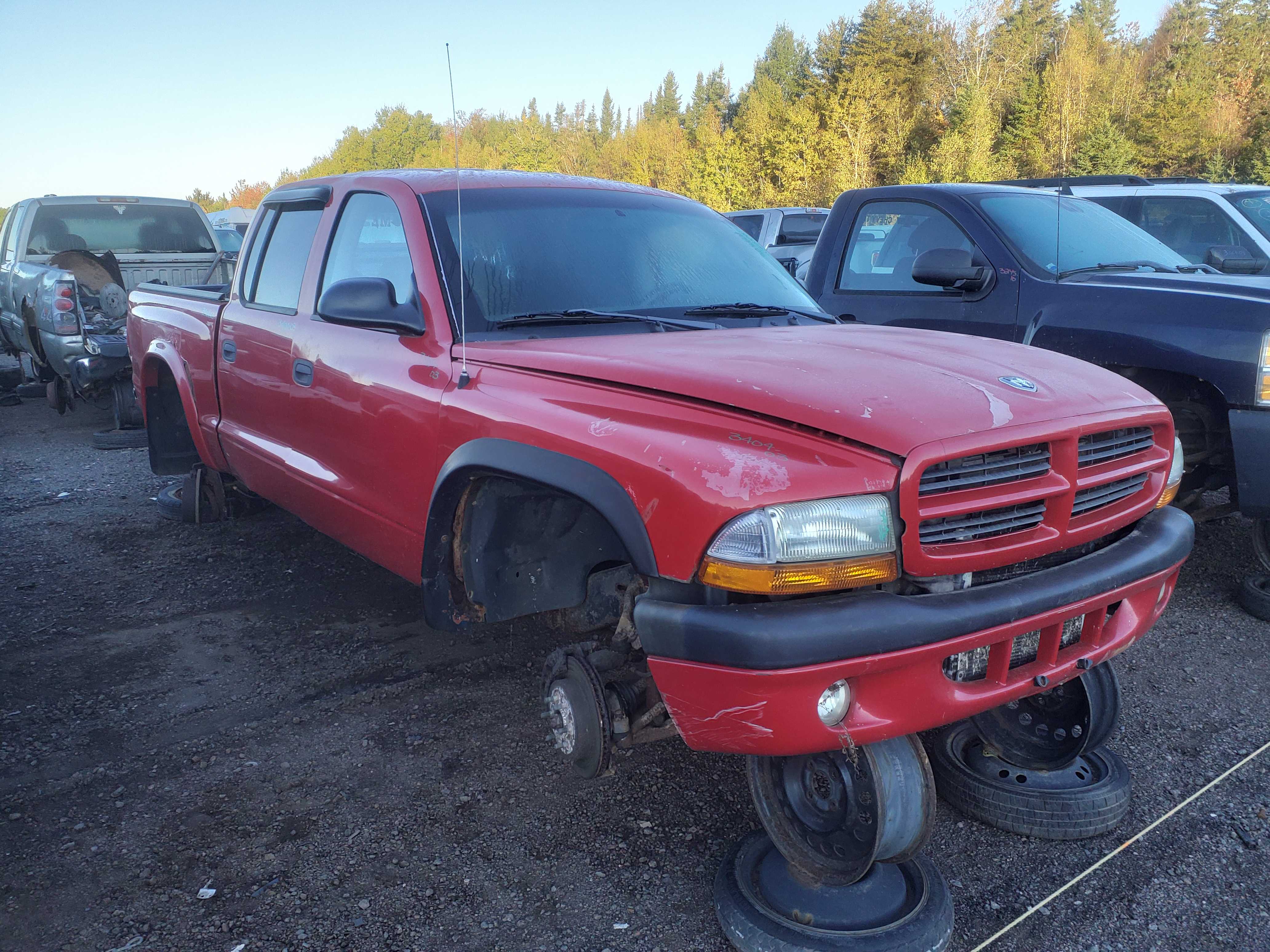 DODGE DAKOTA 2003