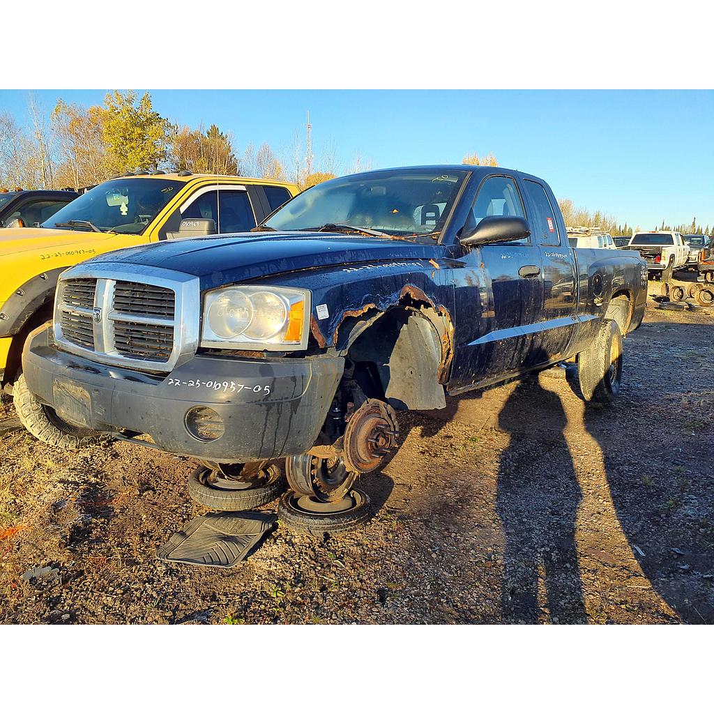 DODGE DAKOTA 2005