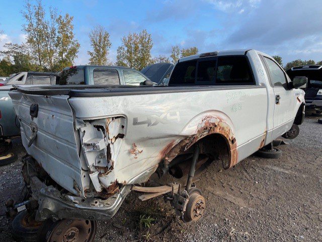 FORD F-150 2010