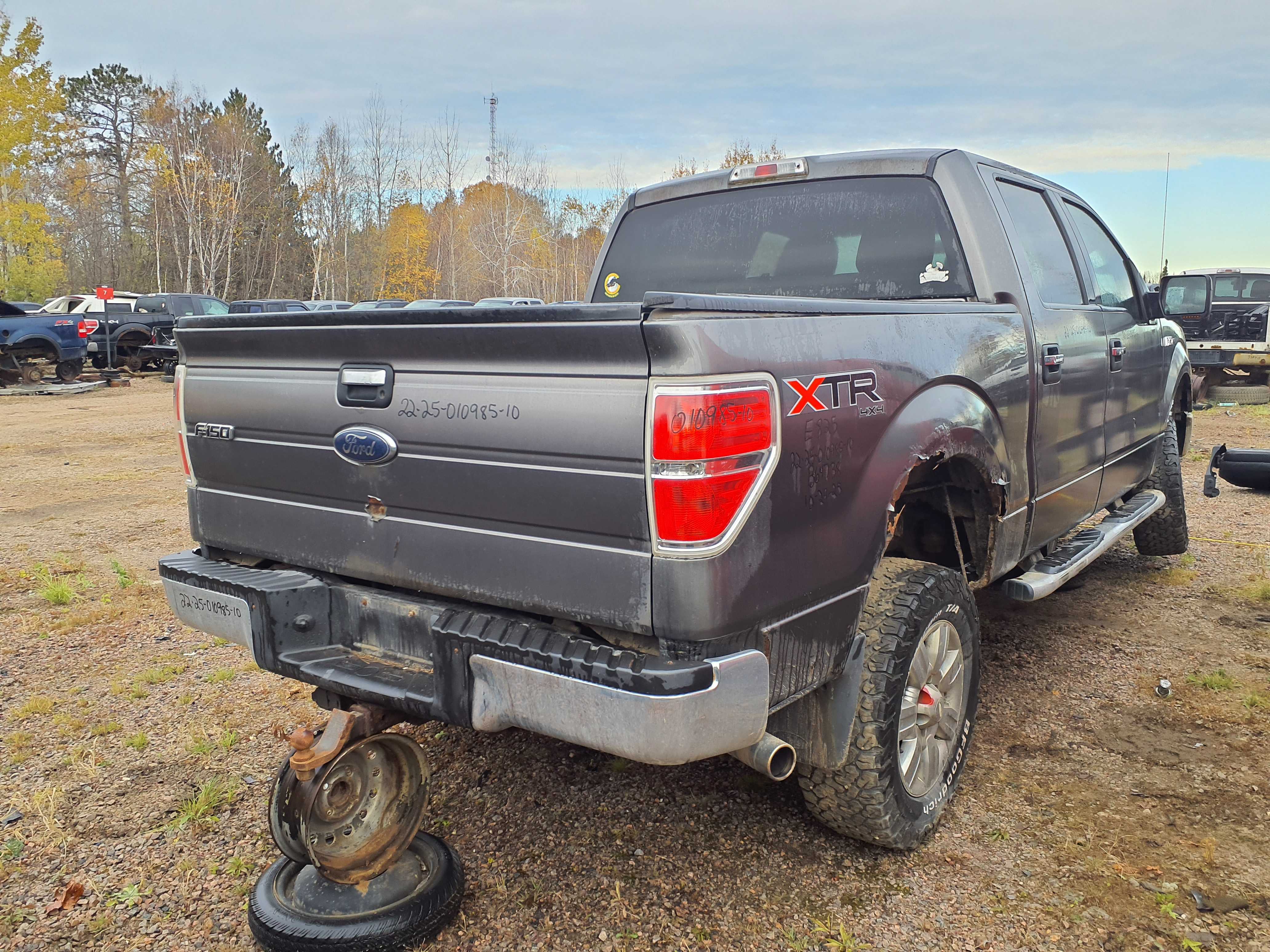 FORD F-150 2010