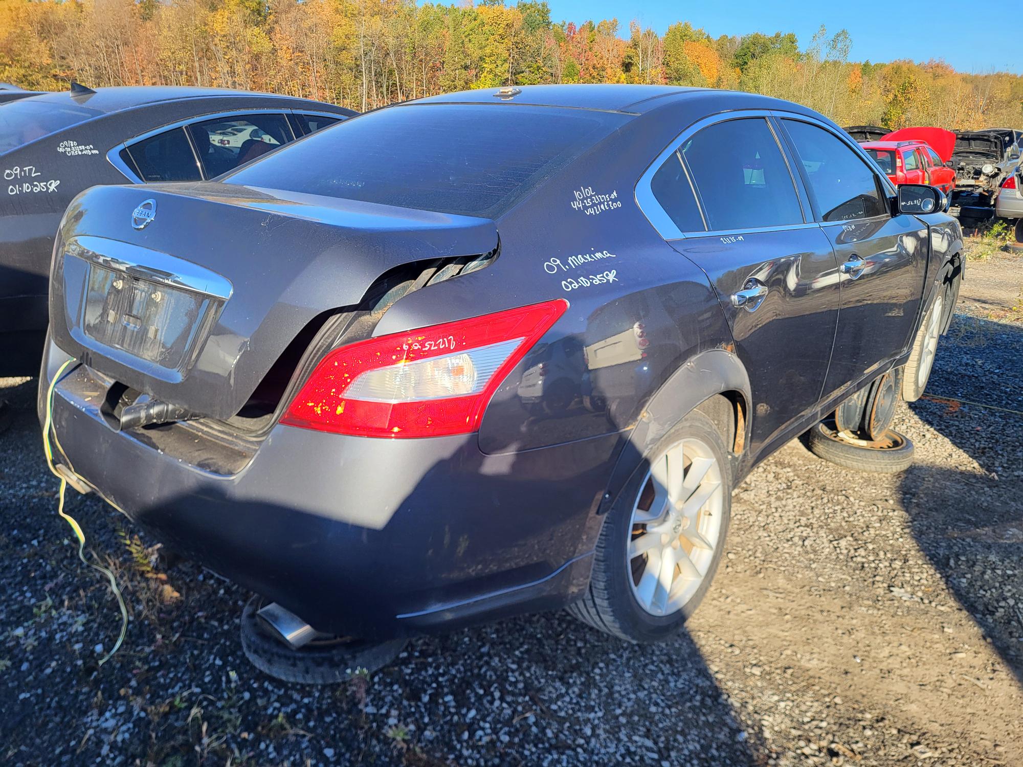 NISSAN MAXIMA 2009