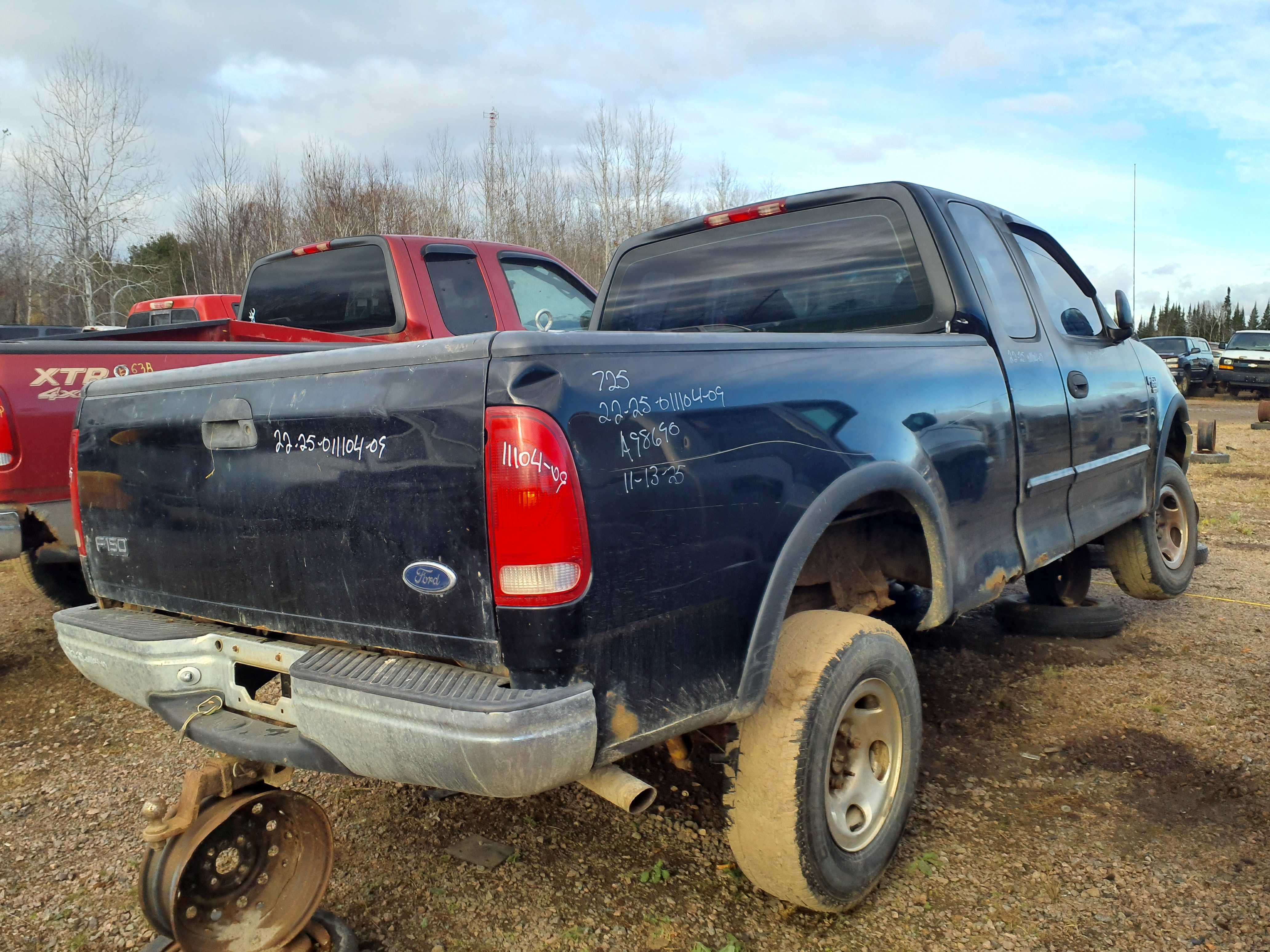 FORD F-150 1999