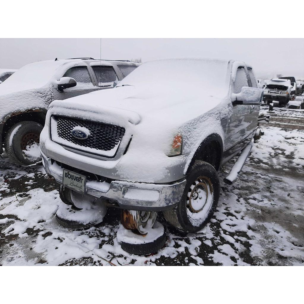 FORD F-150 2004