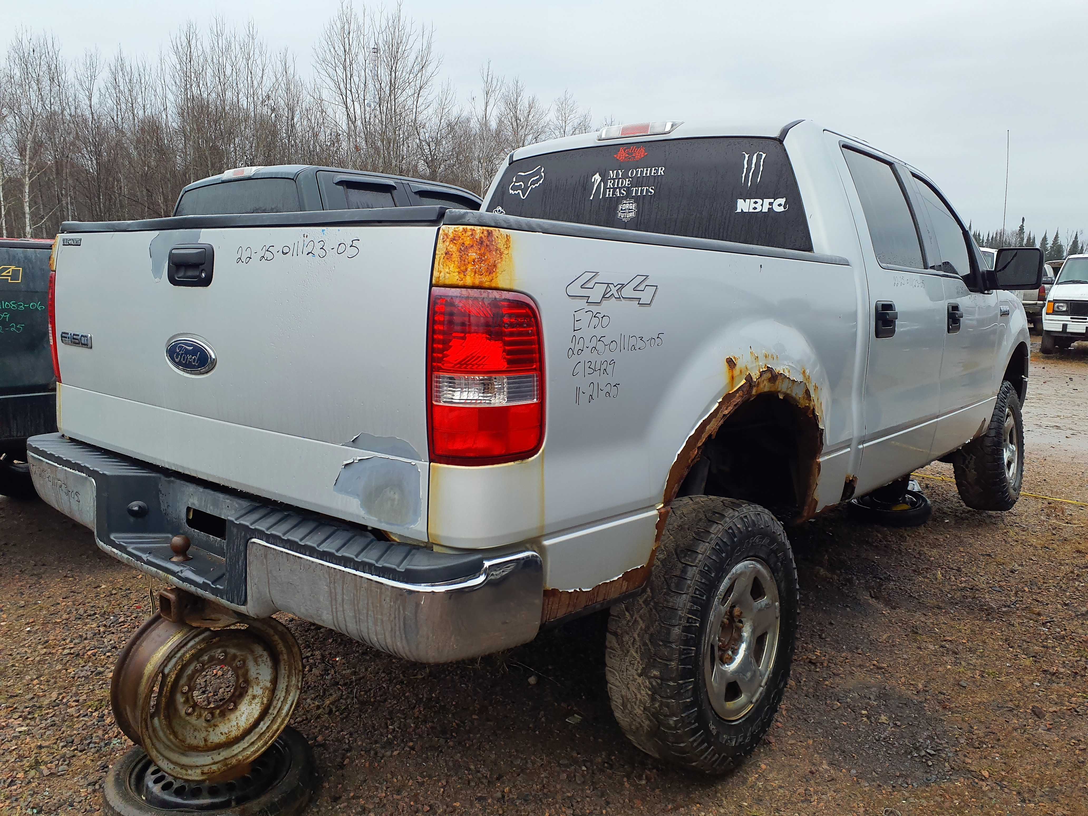 FORD F-150 2005