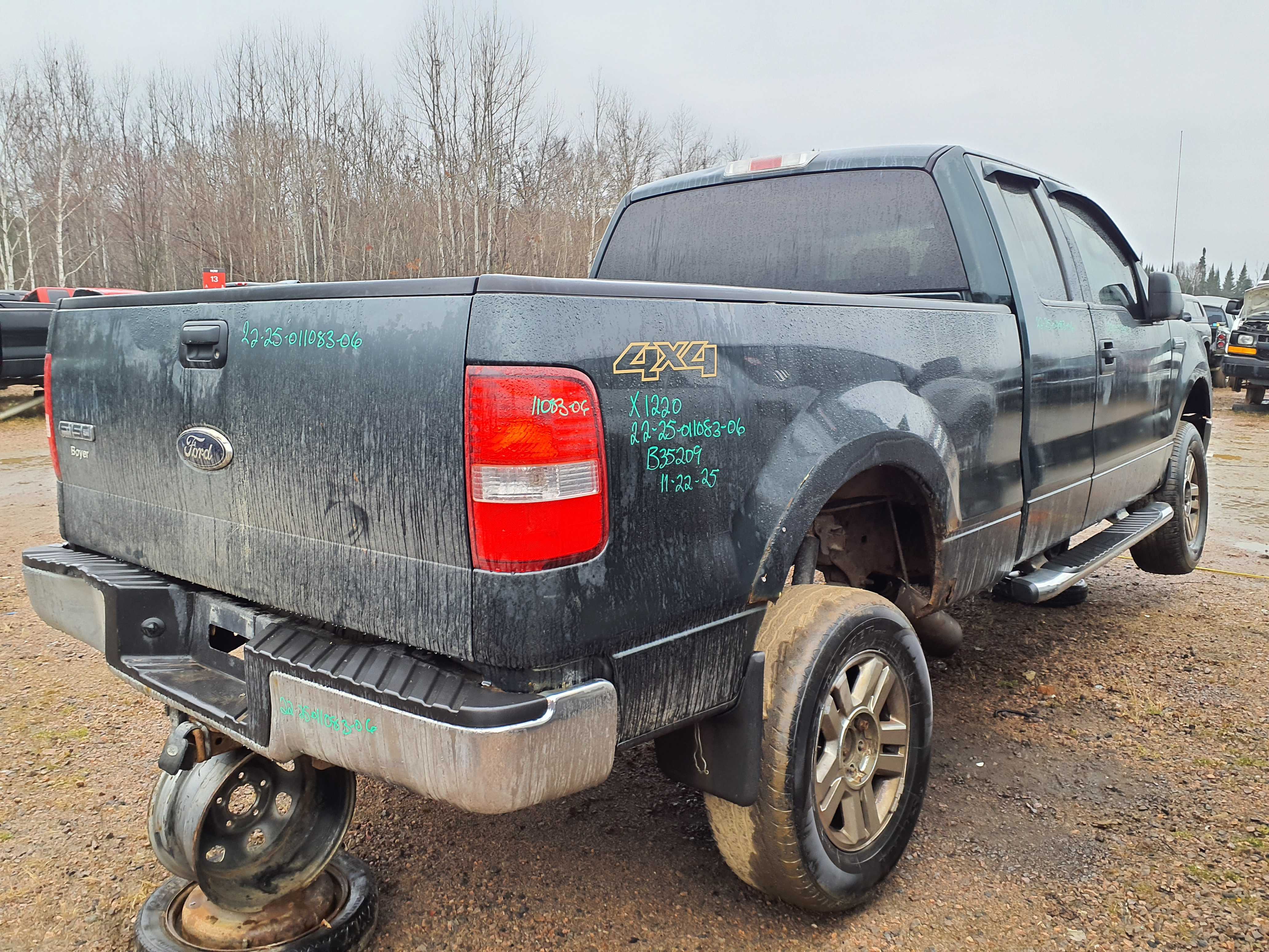 FORD F-150 2006