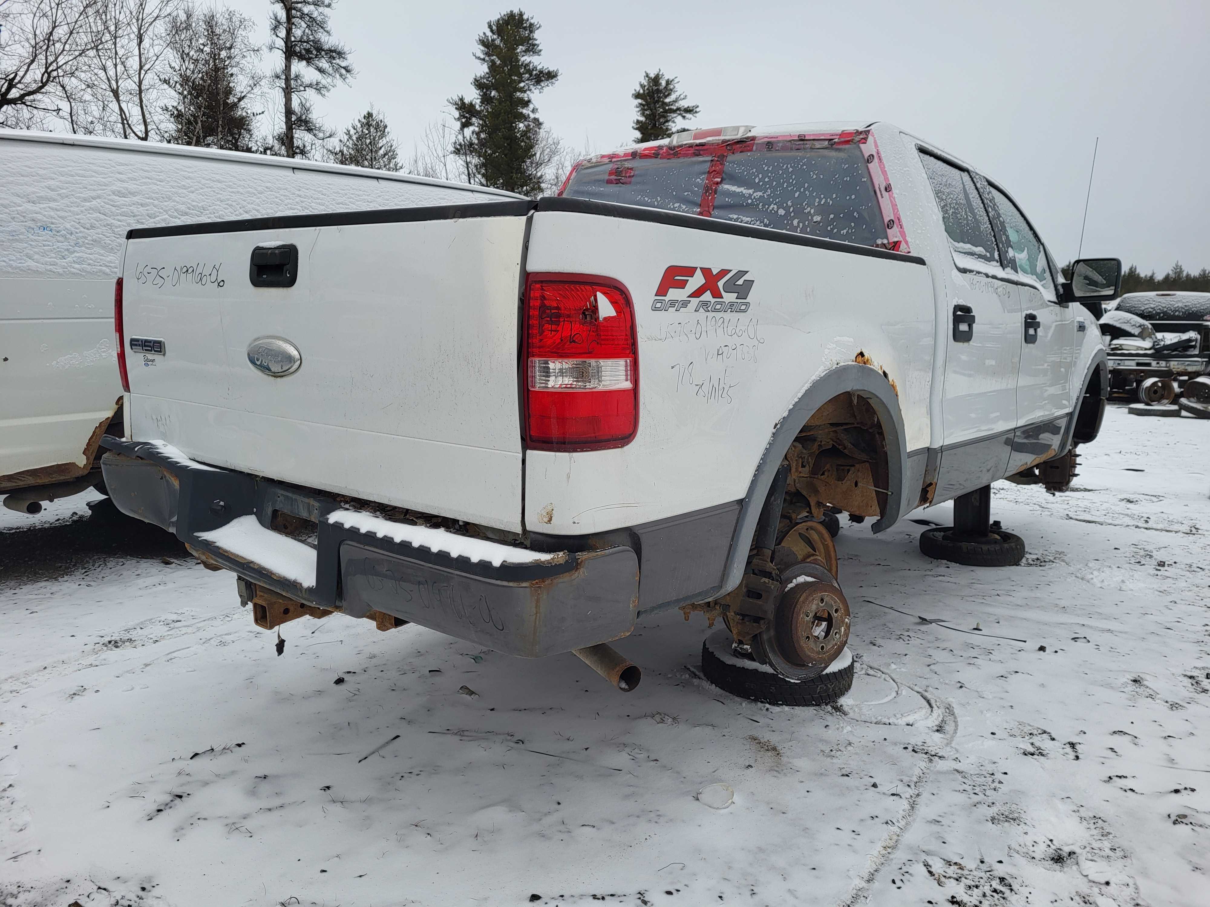 FORD F-150 2006