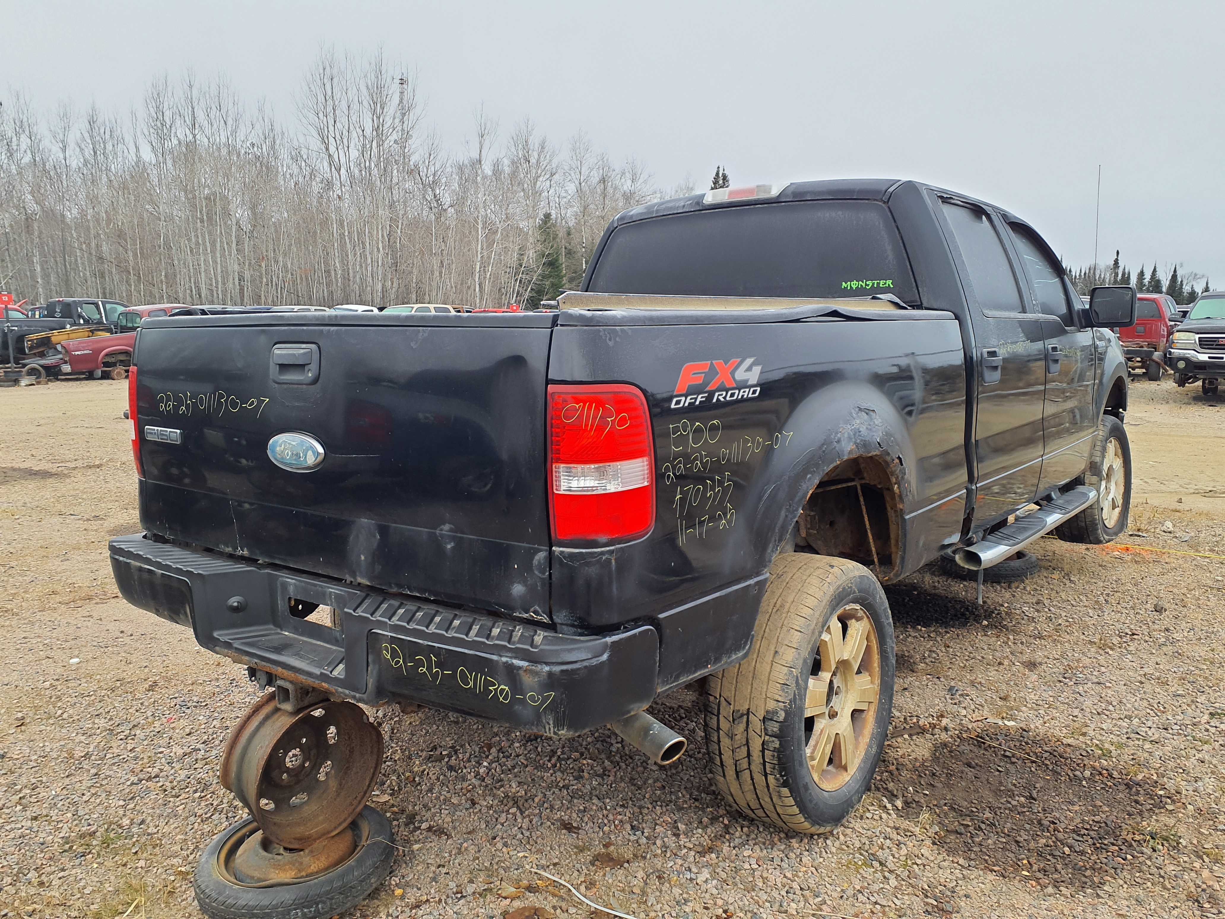 FORD F-150 2007