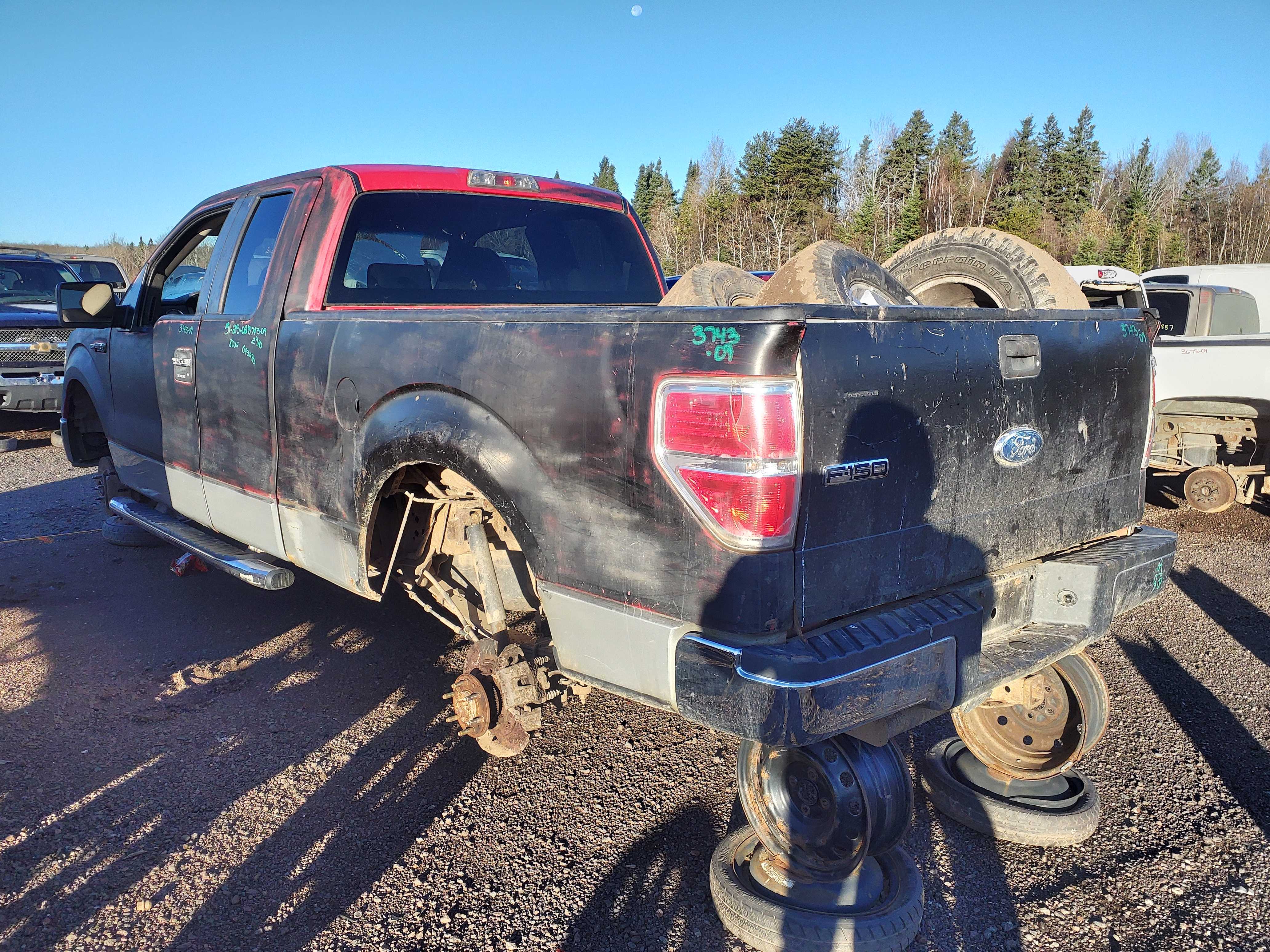 FORD F-150 2009