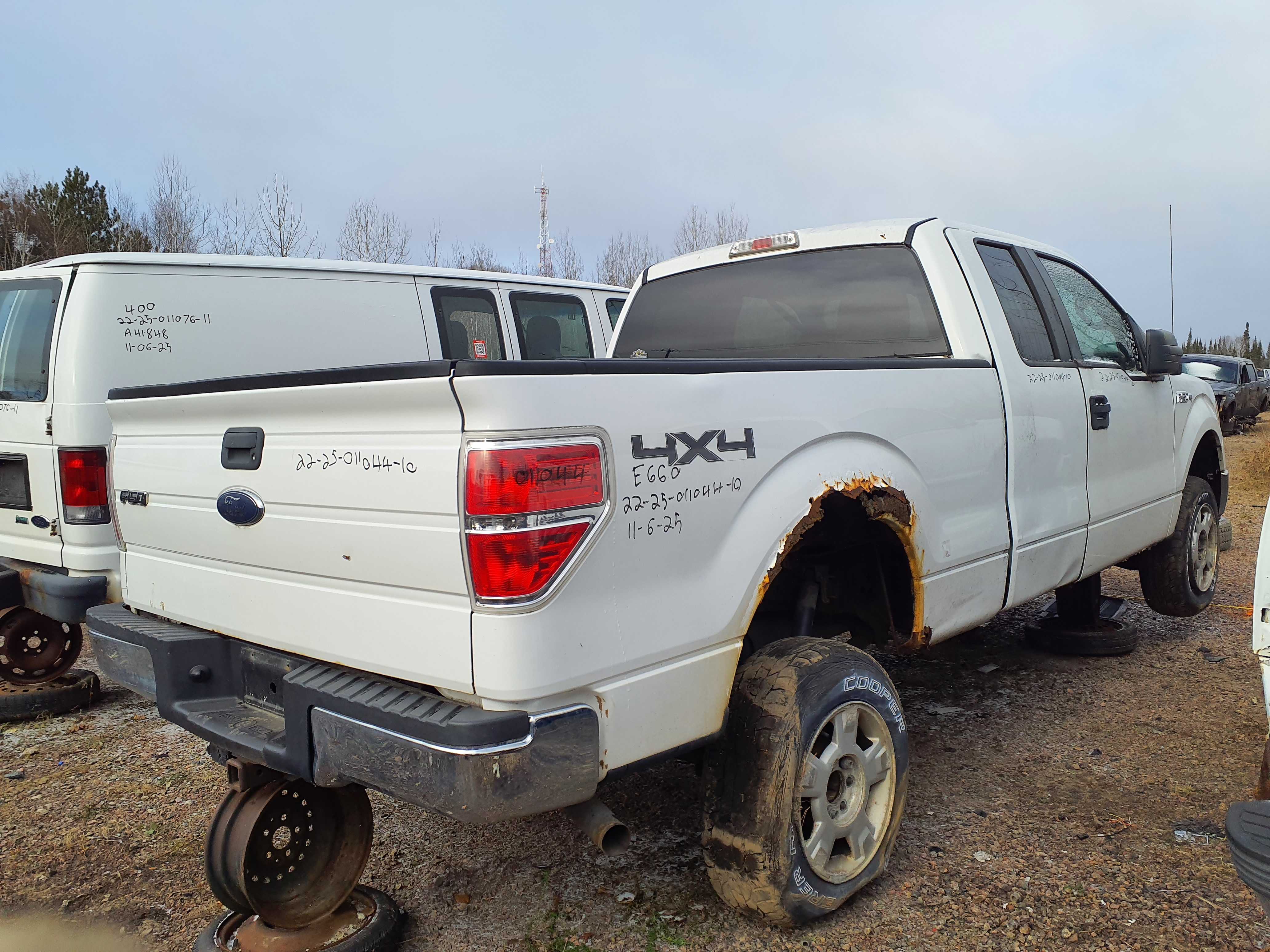FORD F-150 2010