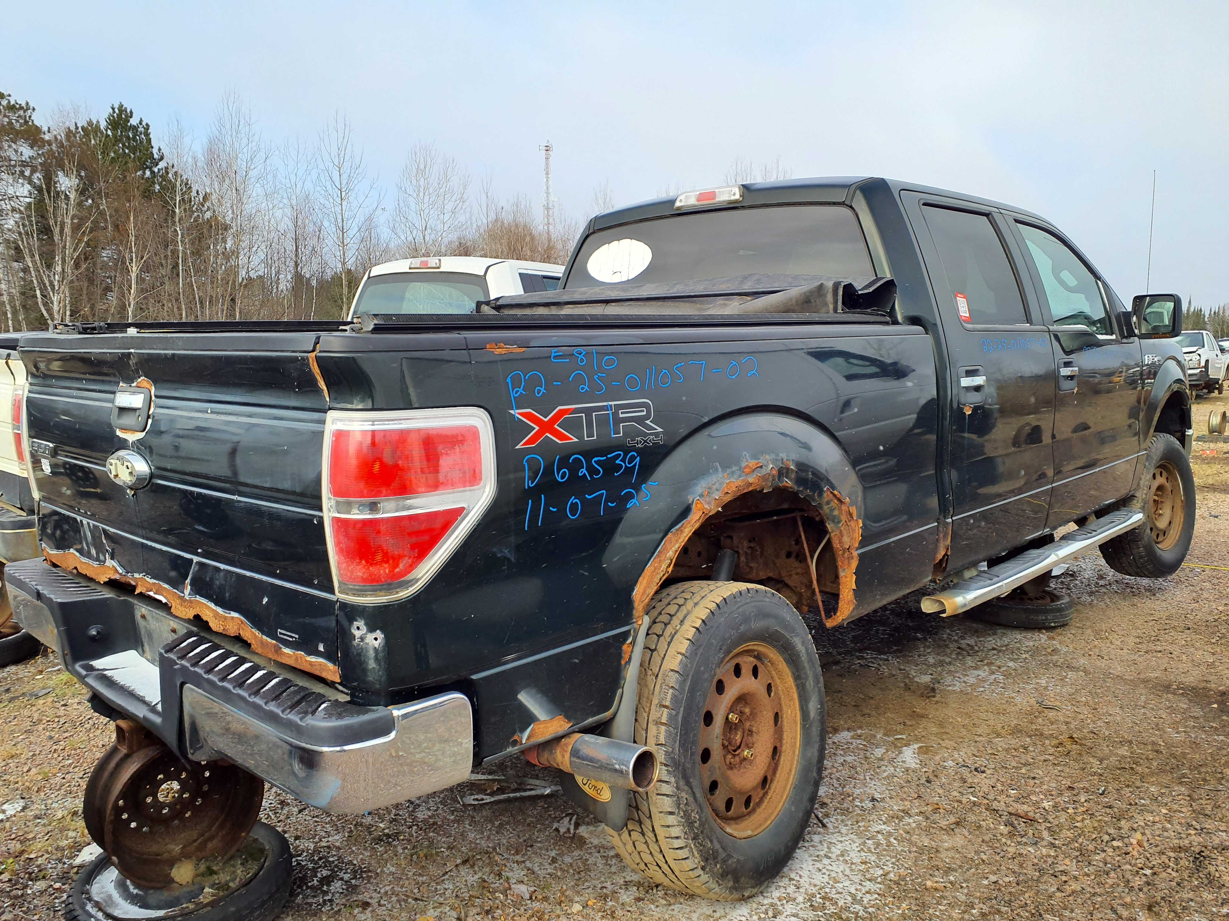 FORD F-150 2012