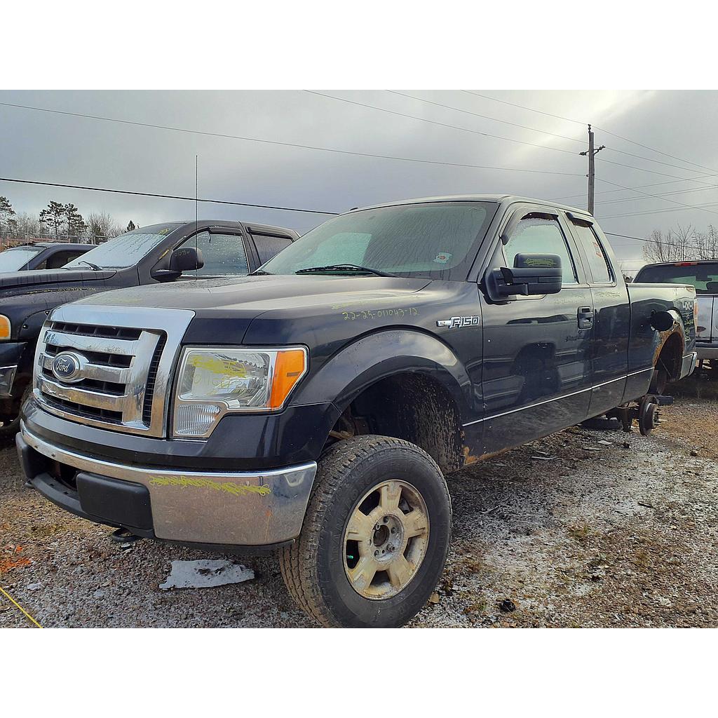 FORD F-150 2012