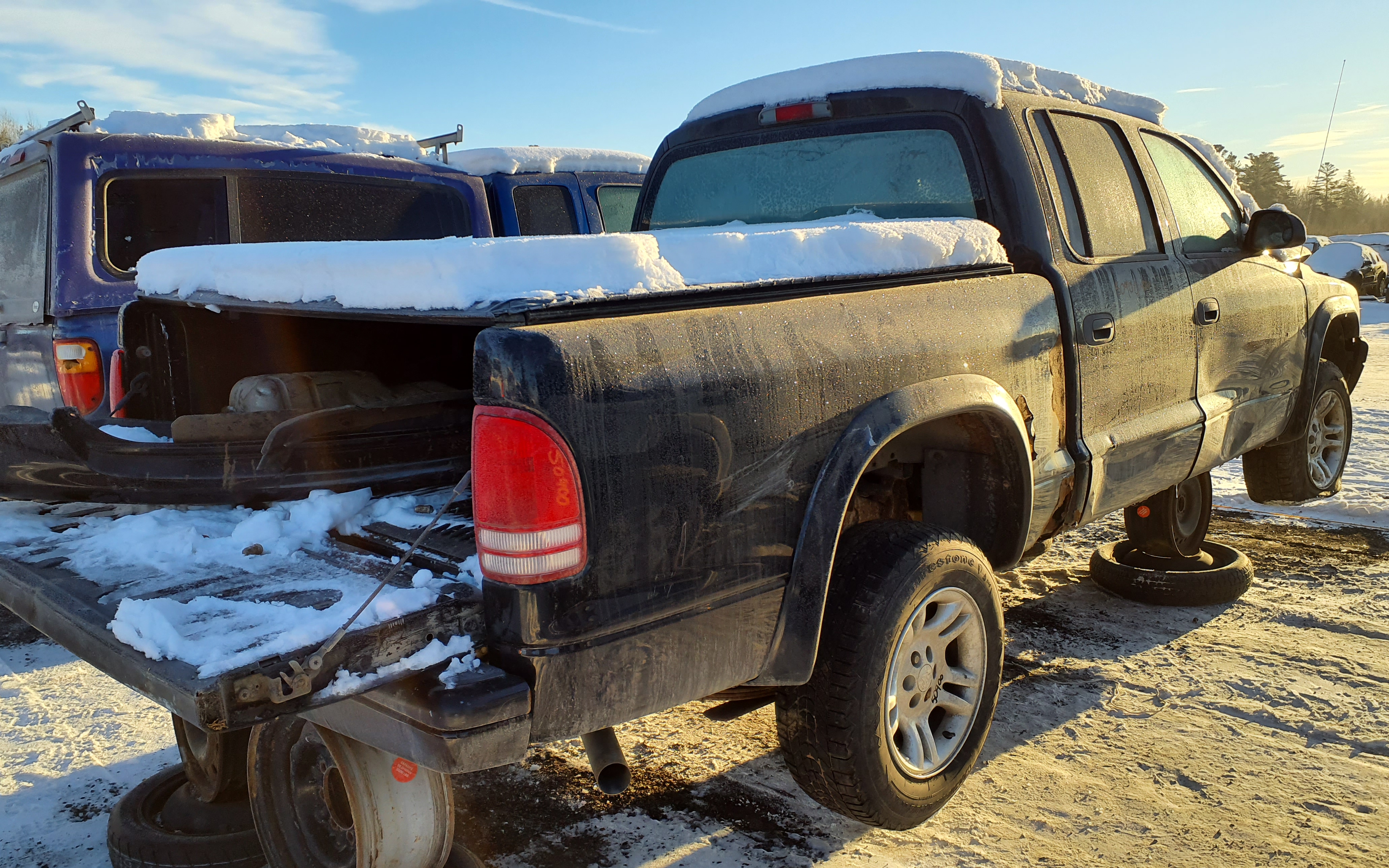 DODGE DAKOTA 2004